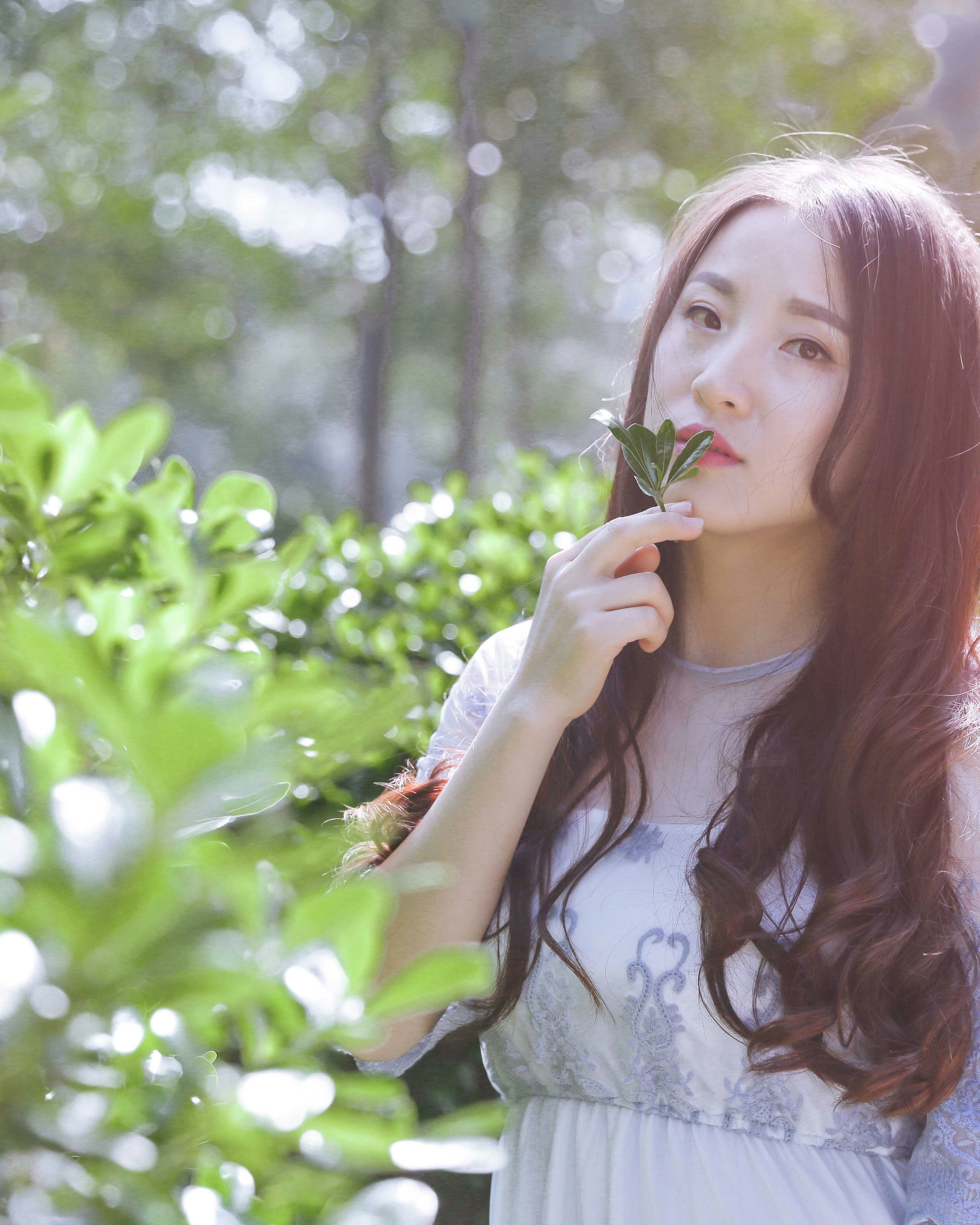 Forest & Flora