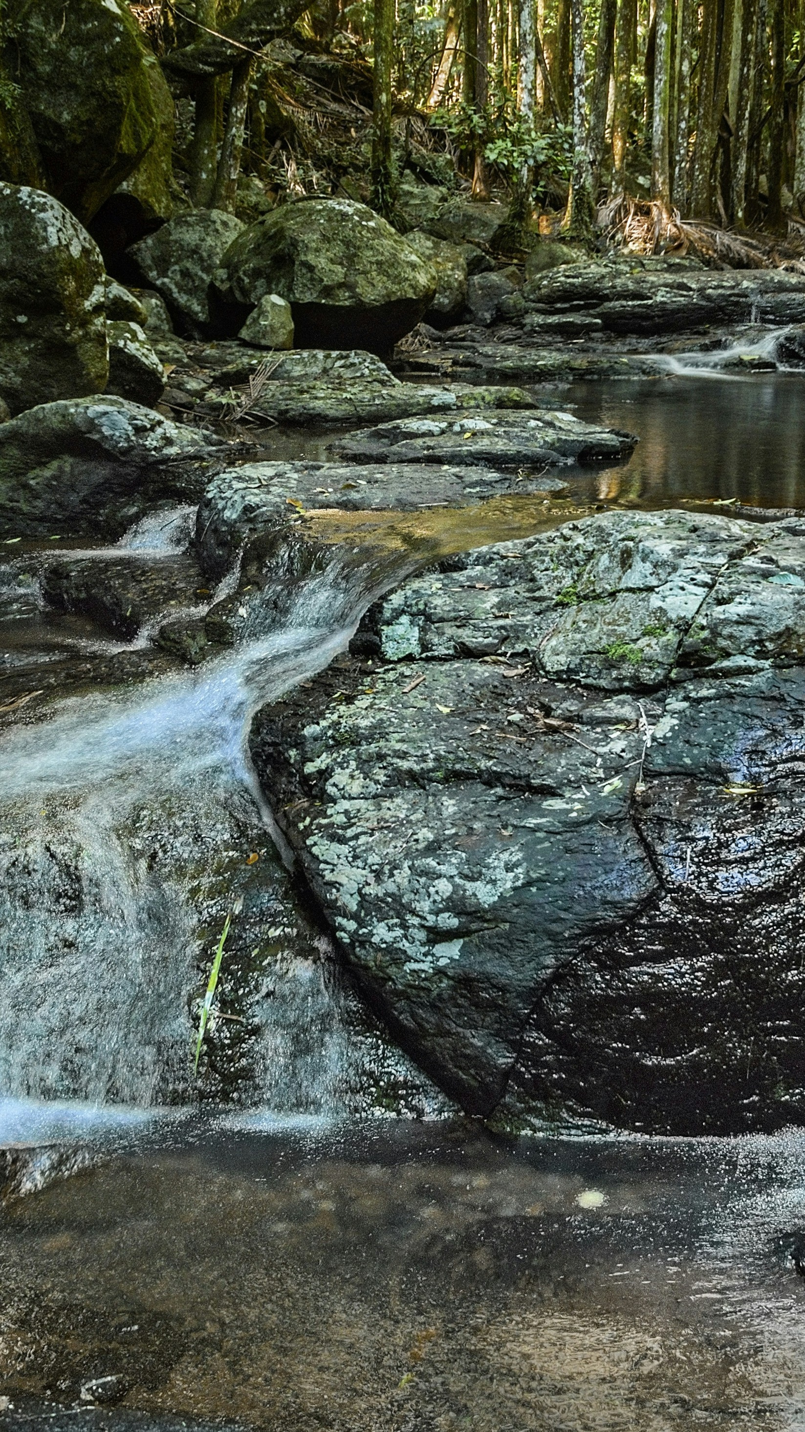 Wallpapers