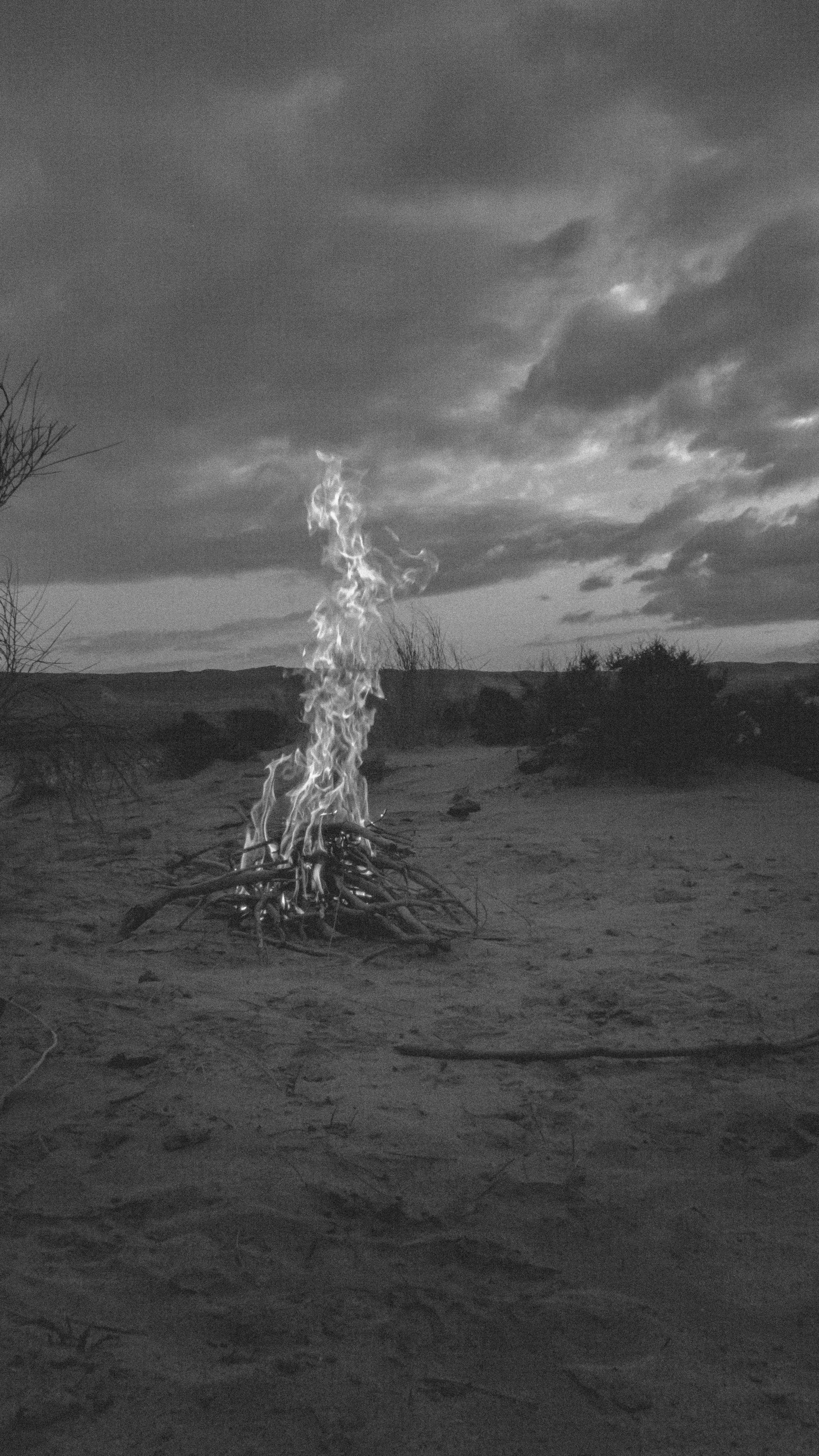 Campfire in Desert at Night