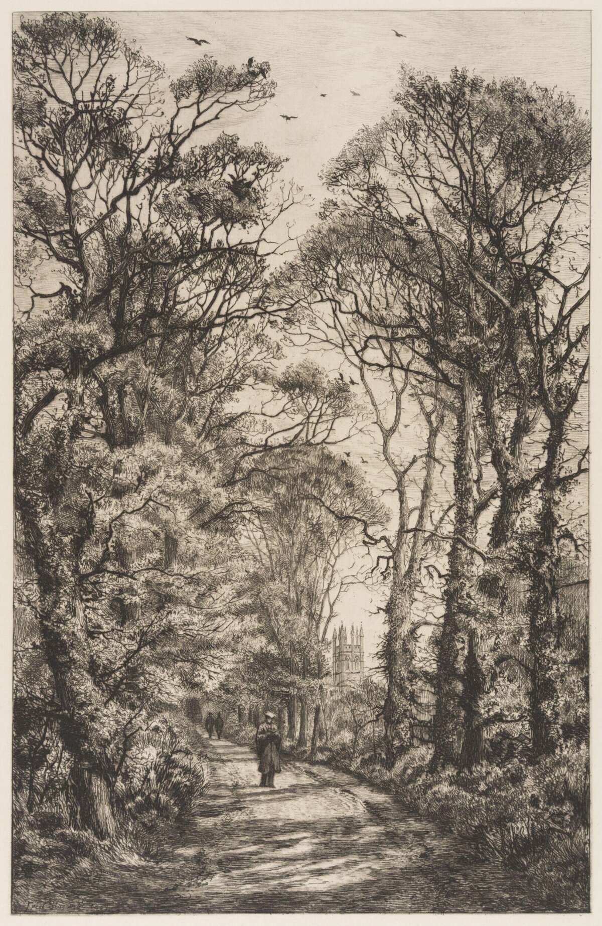 Tree-lined Path to Distant Church