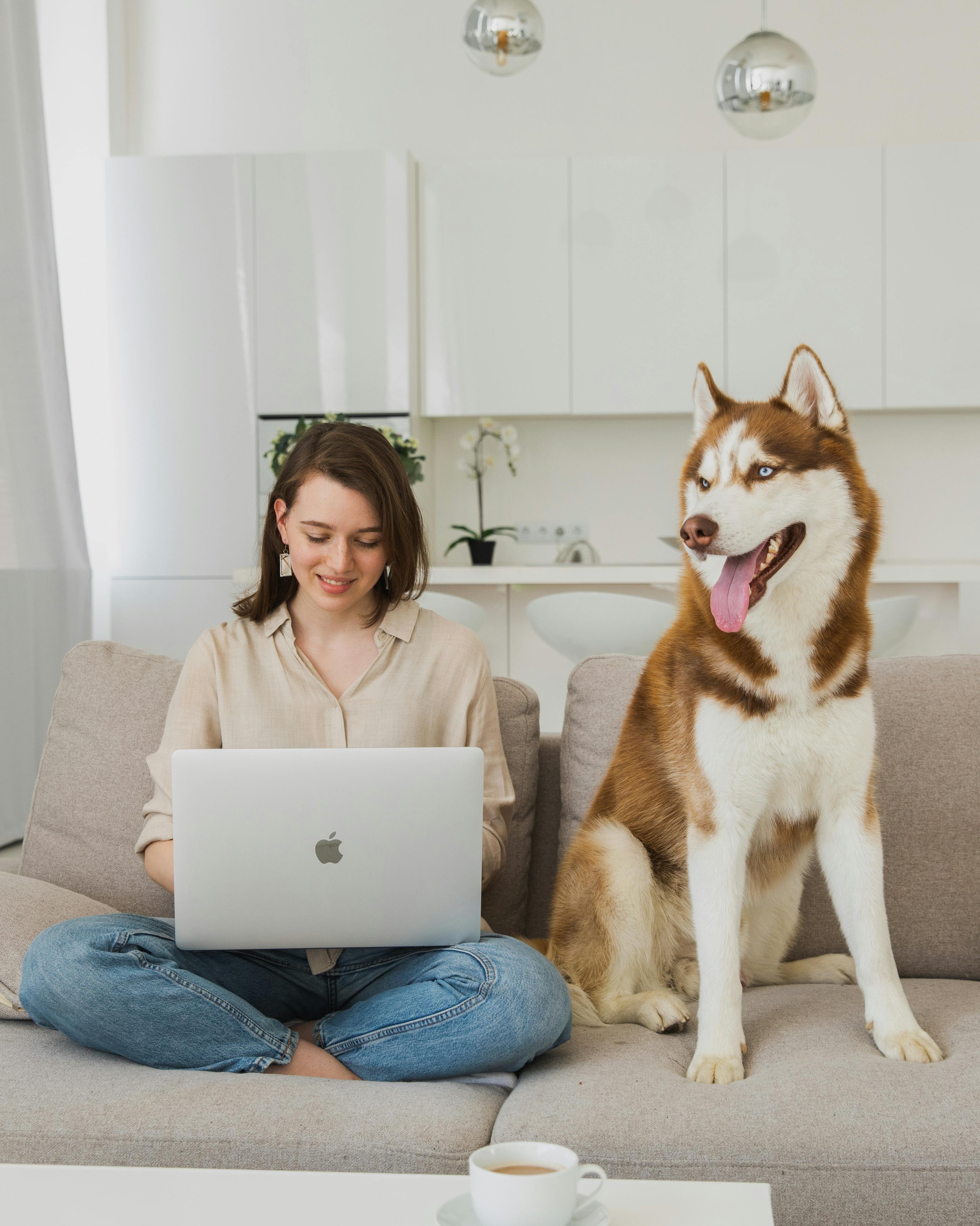 Woman Working From Home With Husky