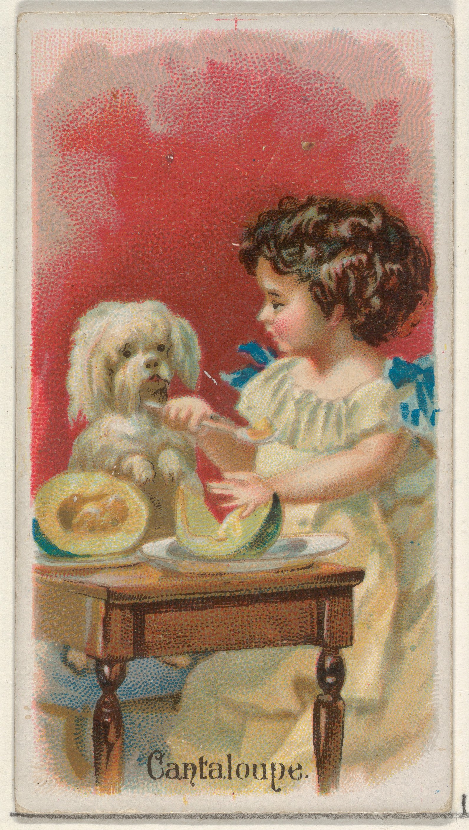 Little Girl Feeding Dog Cantaloupe