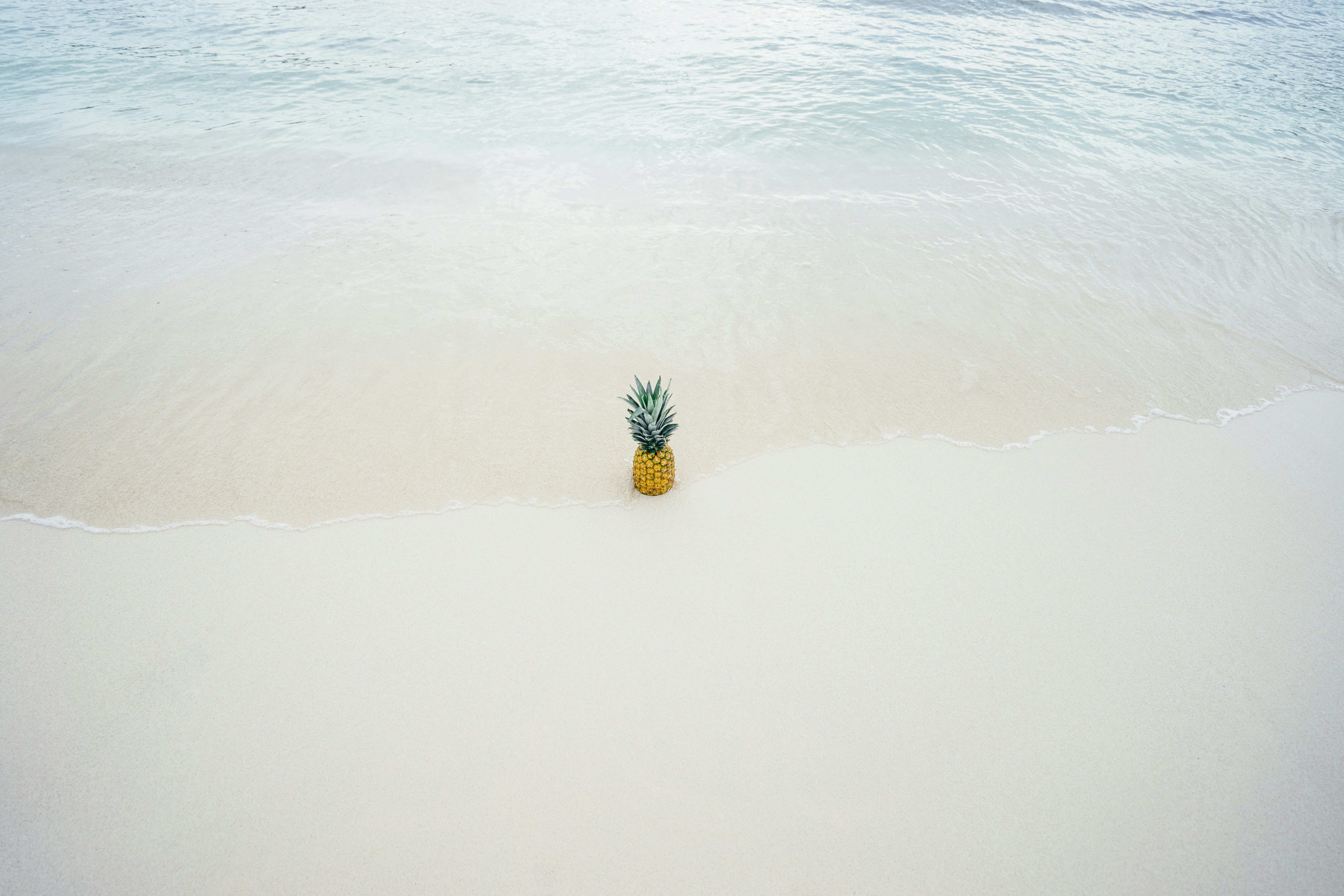 Pineapple on Beach Shore