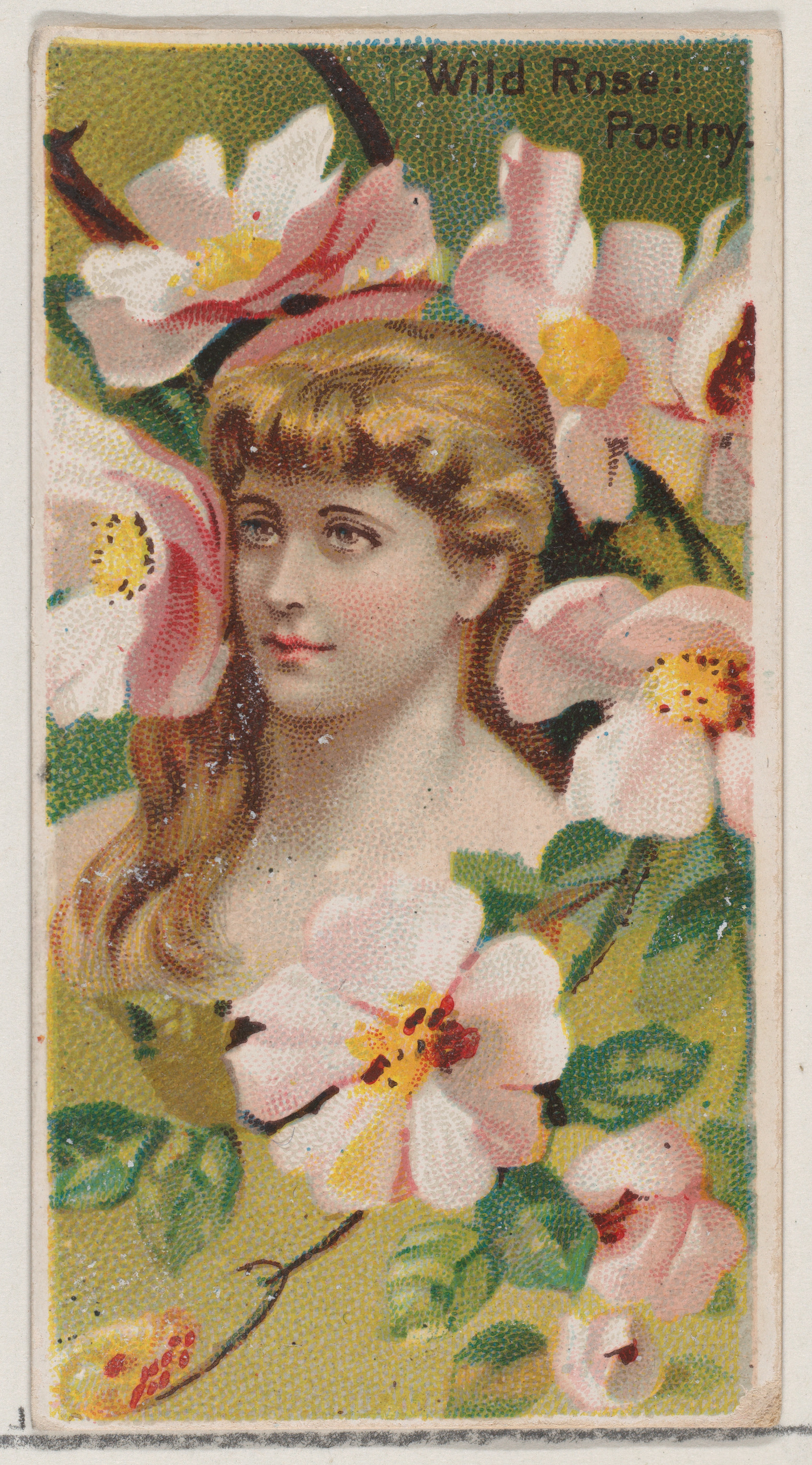 Wild Rose Poetry Vintage Card