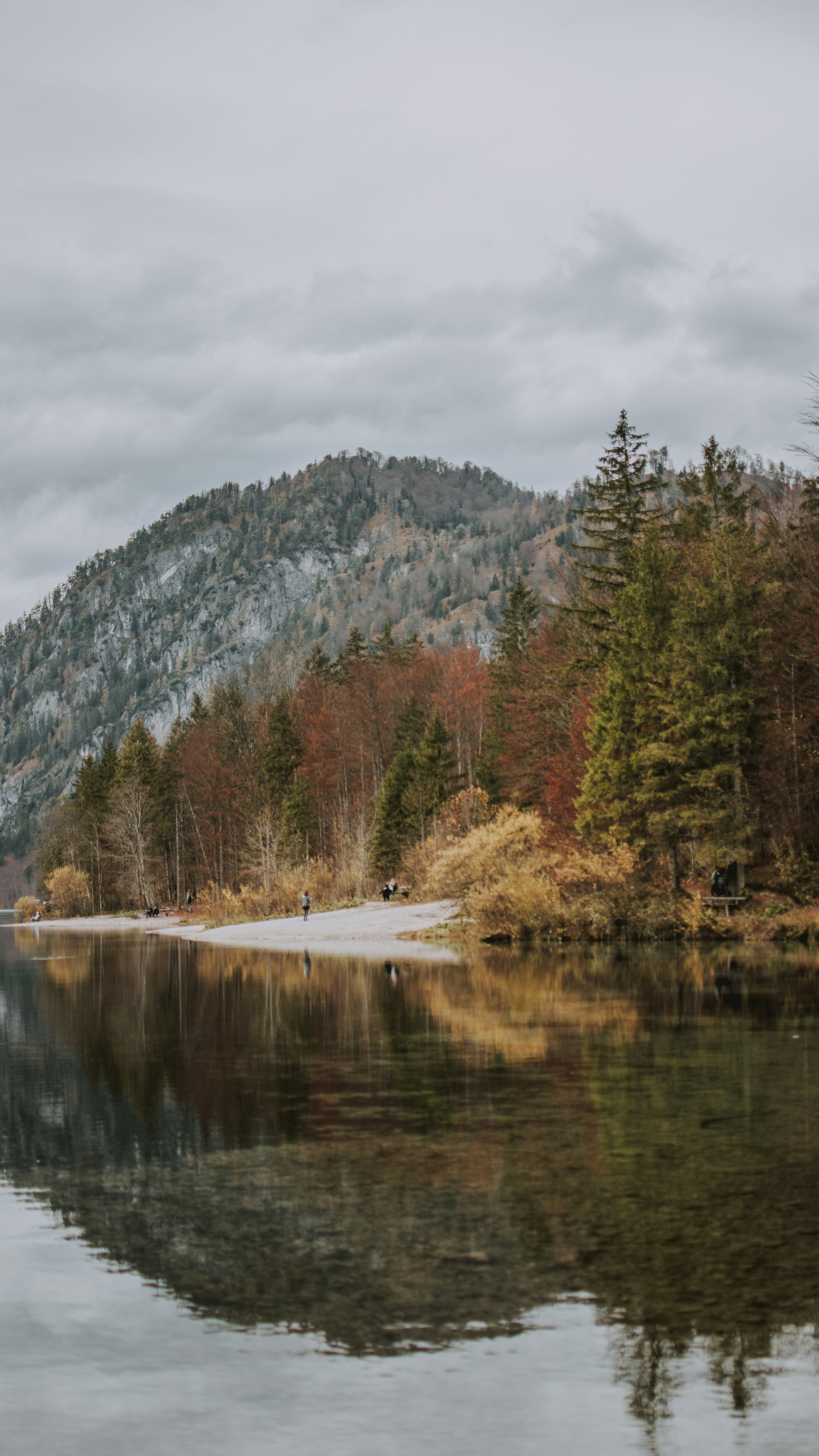 Landscapes