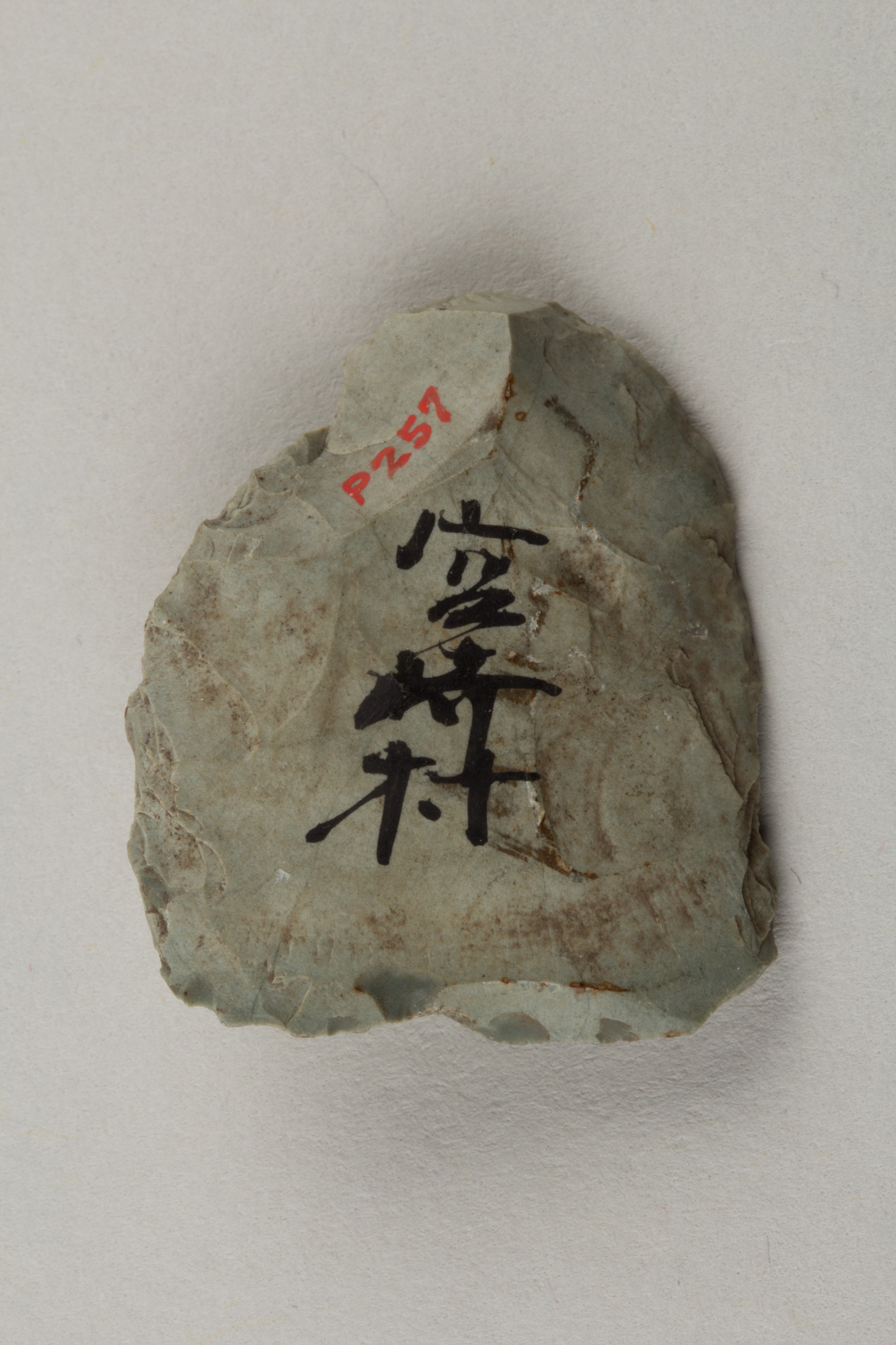 Labeled Stone Archaeological Specimen