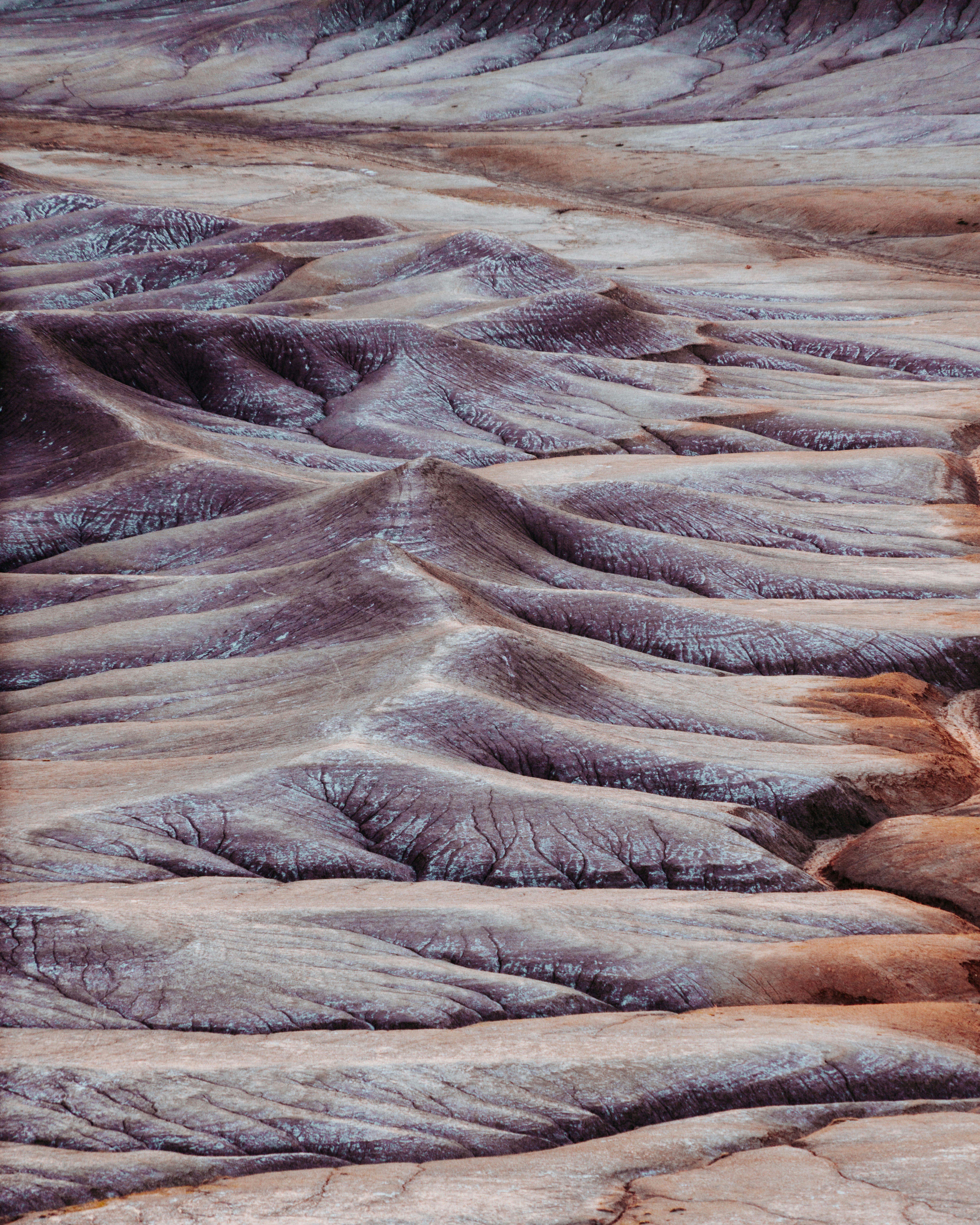 Purple Eroded Badlands Terrain