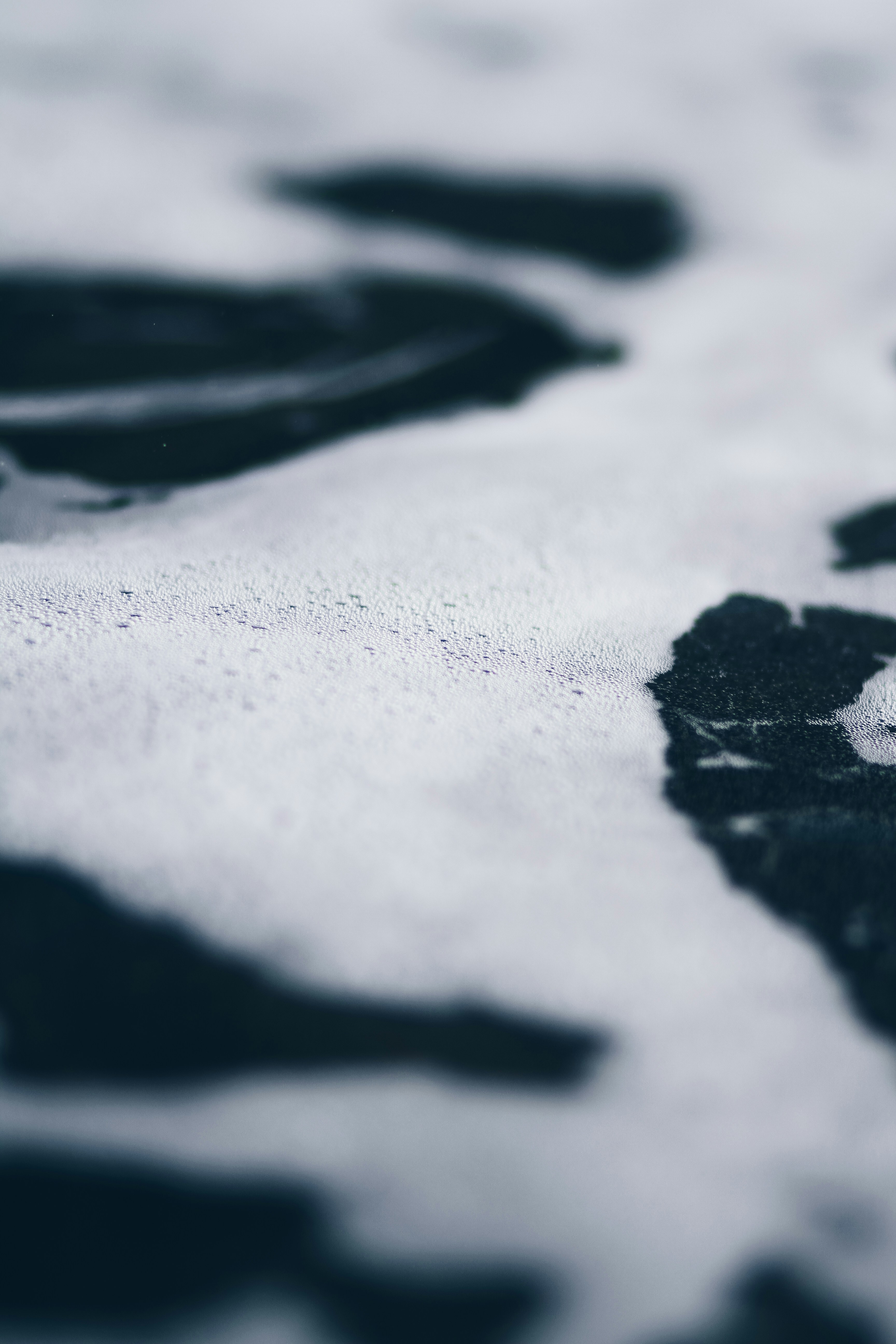 Close-up of Cow Print Fabric