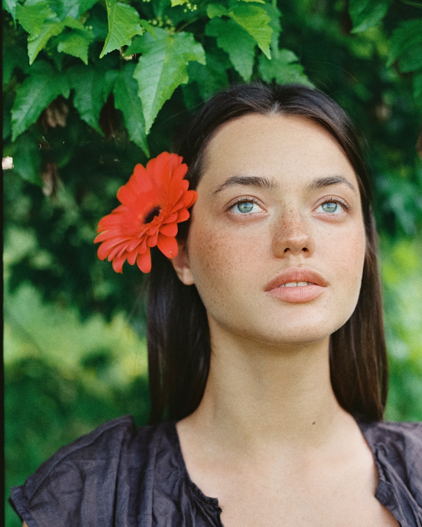 Forest & Flora
