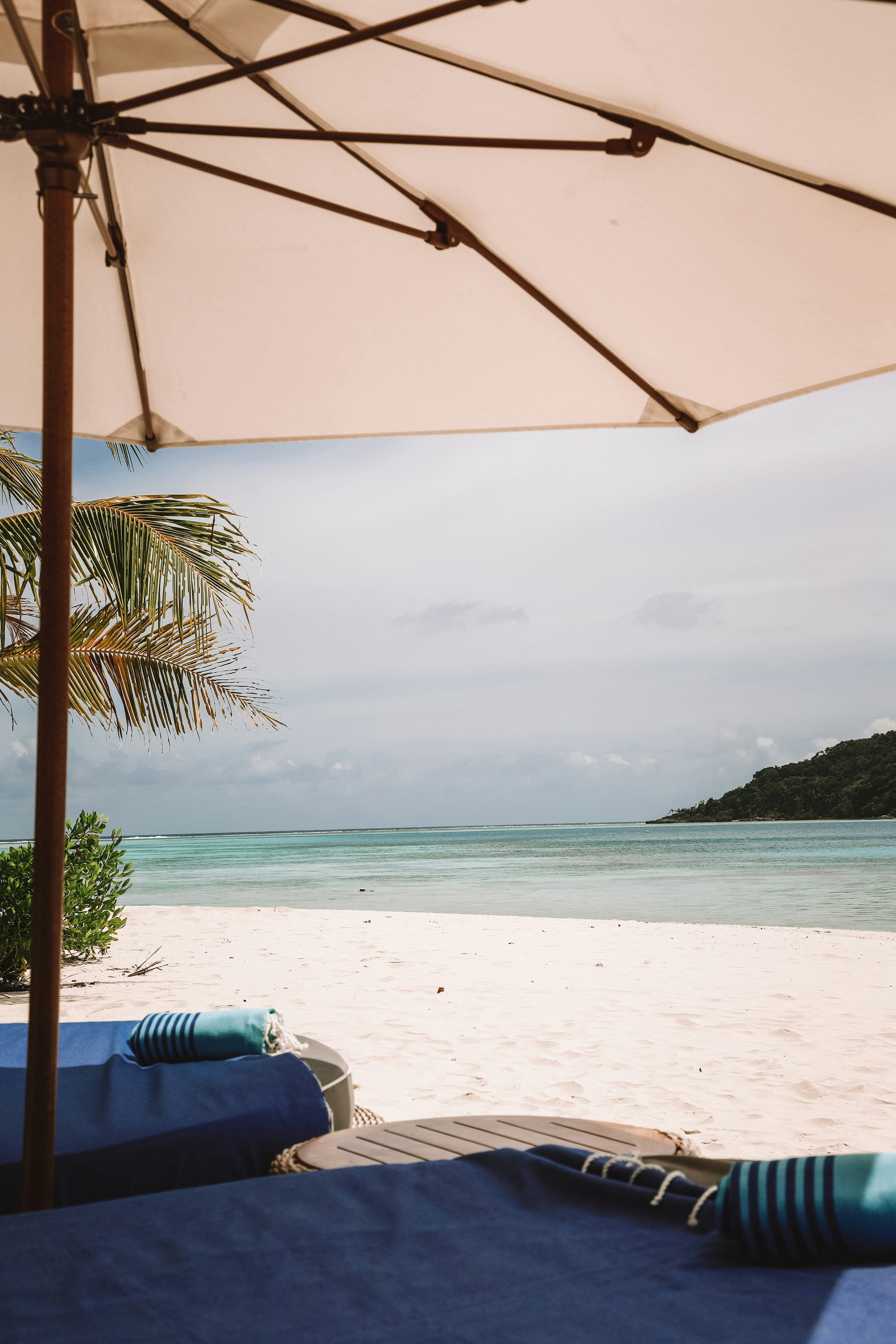 Tropical Beach Lounge View