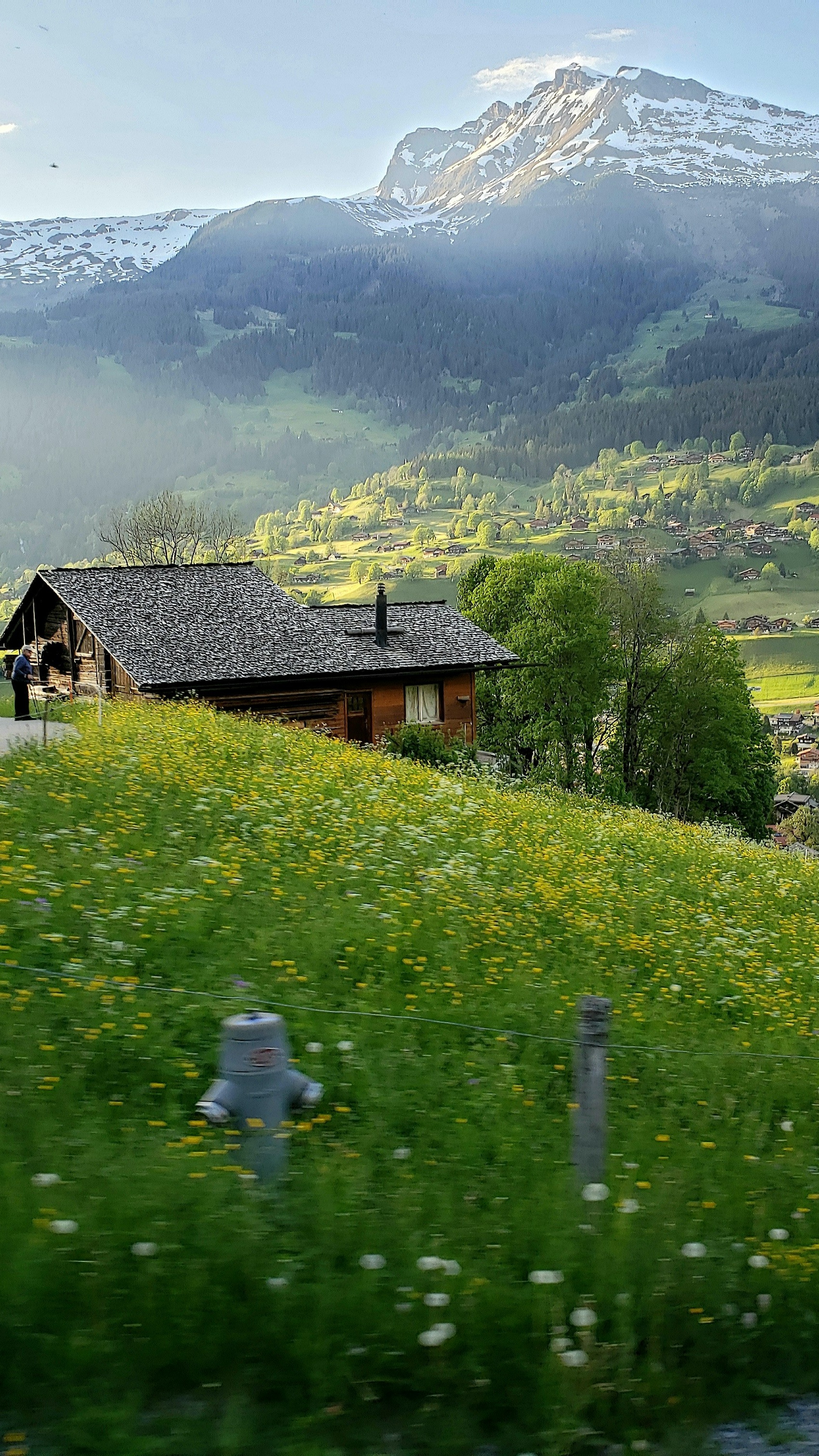 Alpine Chalet in Mountain Meadow