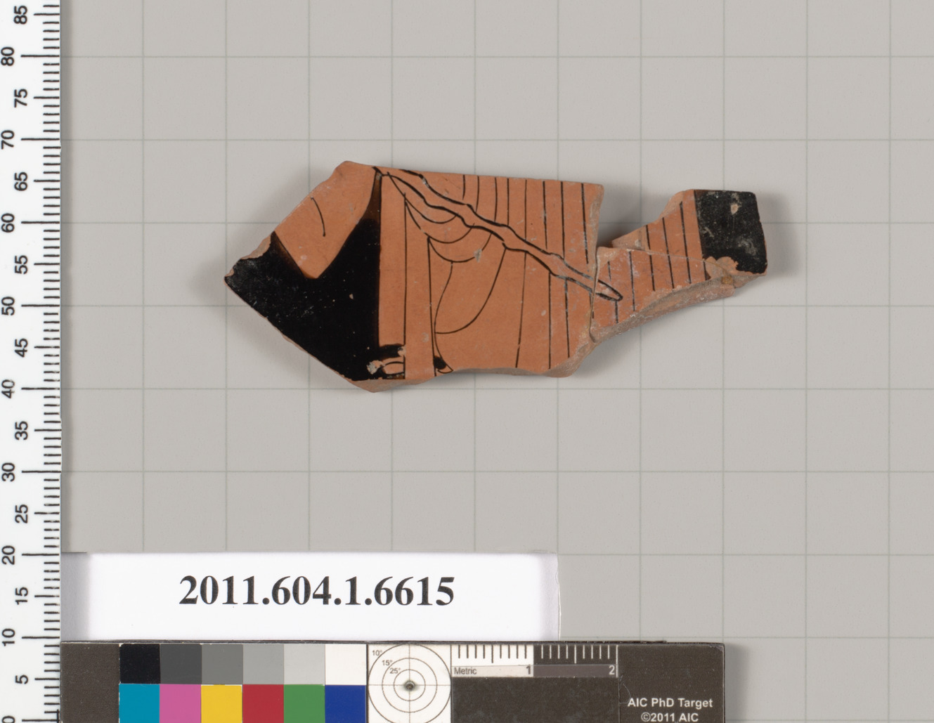Ancient Pottery Fragment