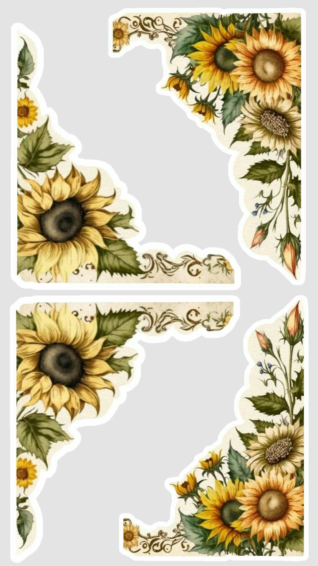 Wallpapers