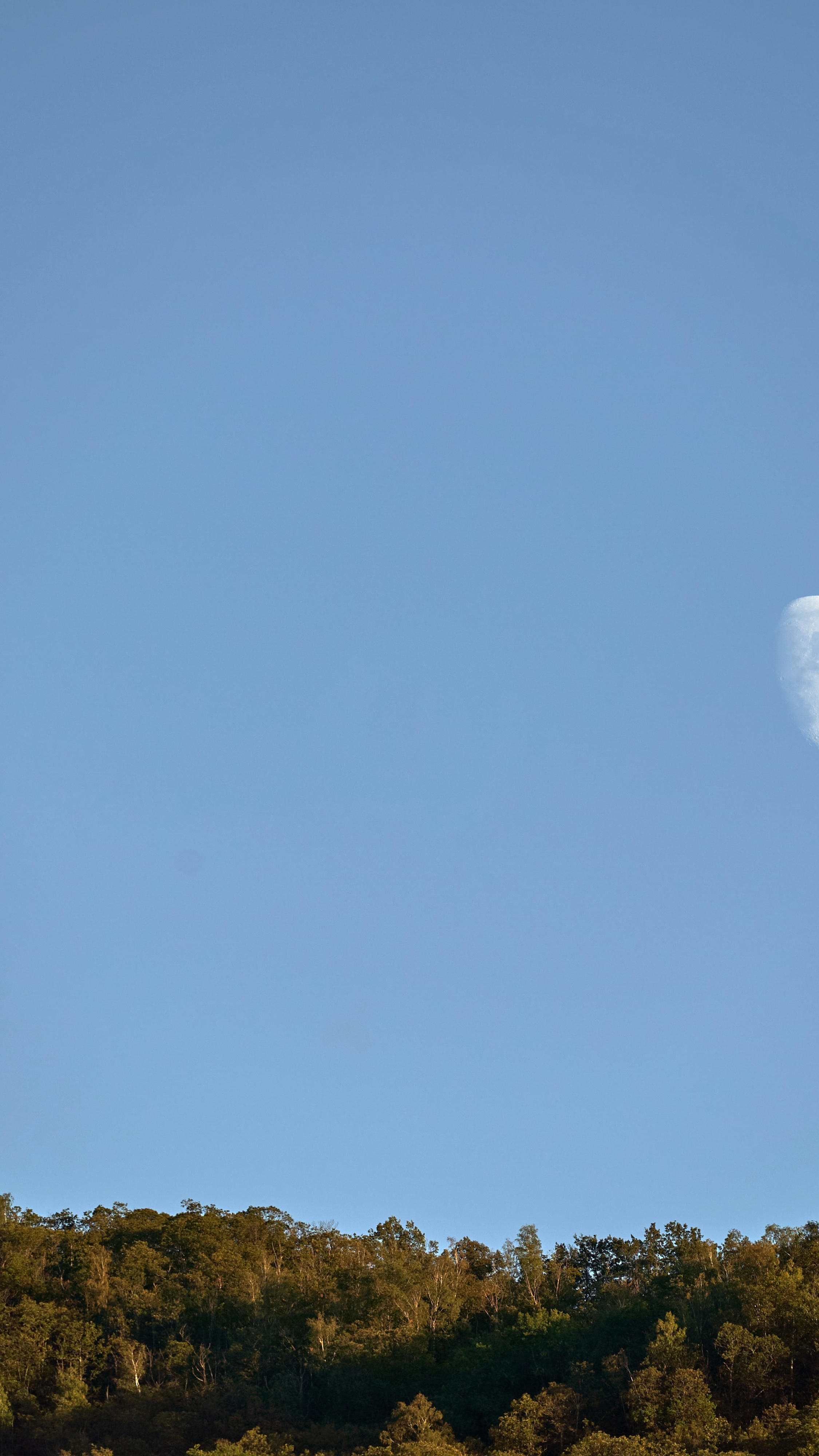 Image 1559157 — Nature