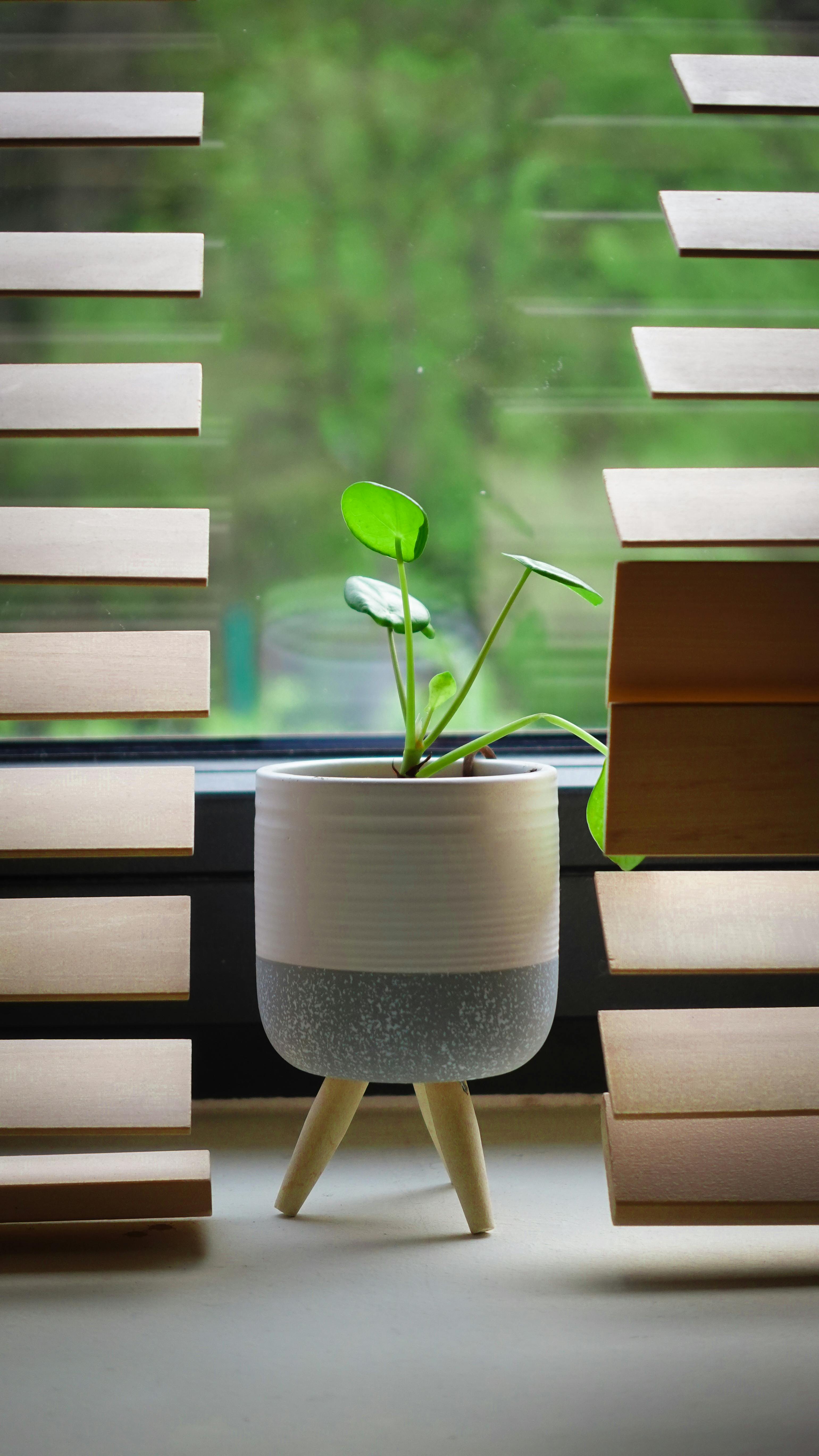 Home Decoration