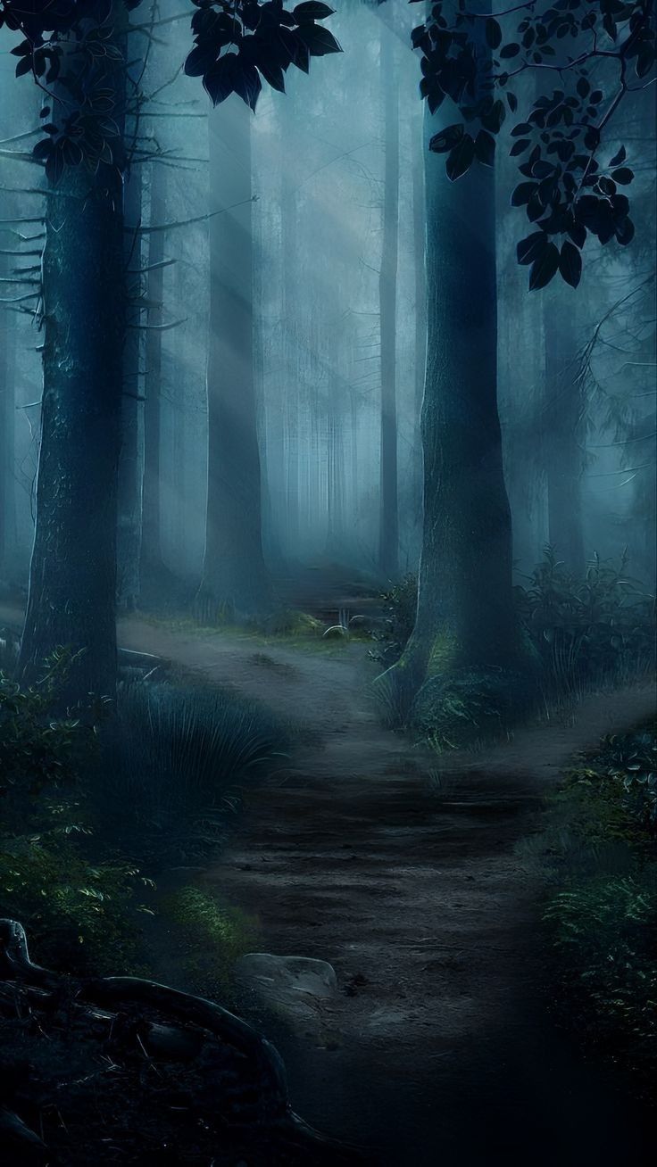 Wallpapers