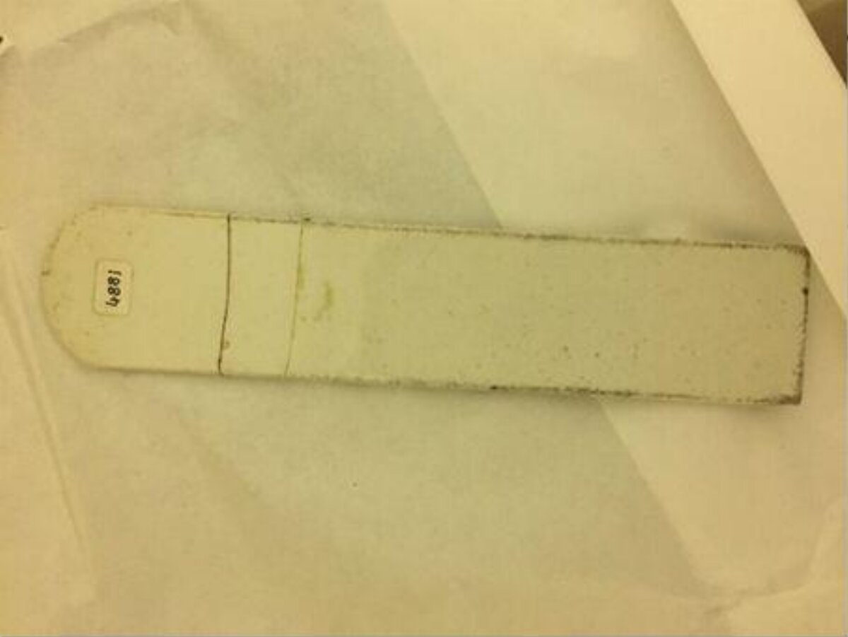 Labeled Microscope Specimen Slide