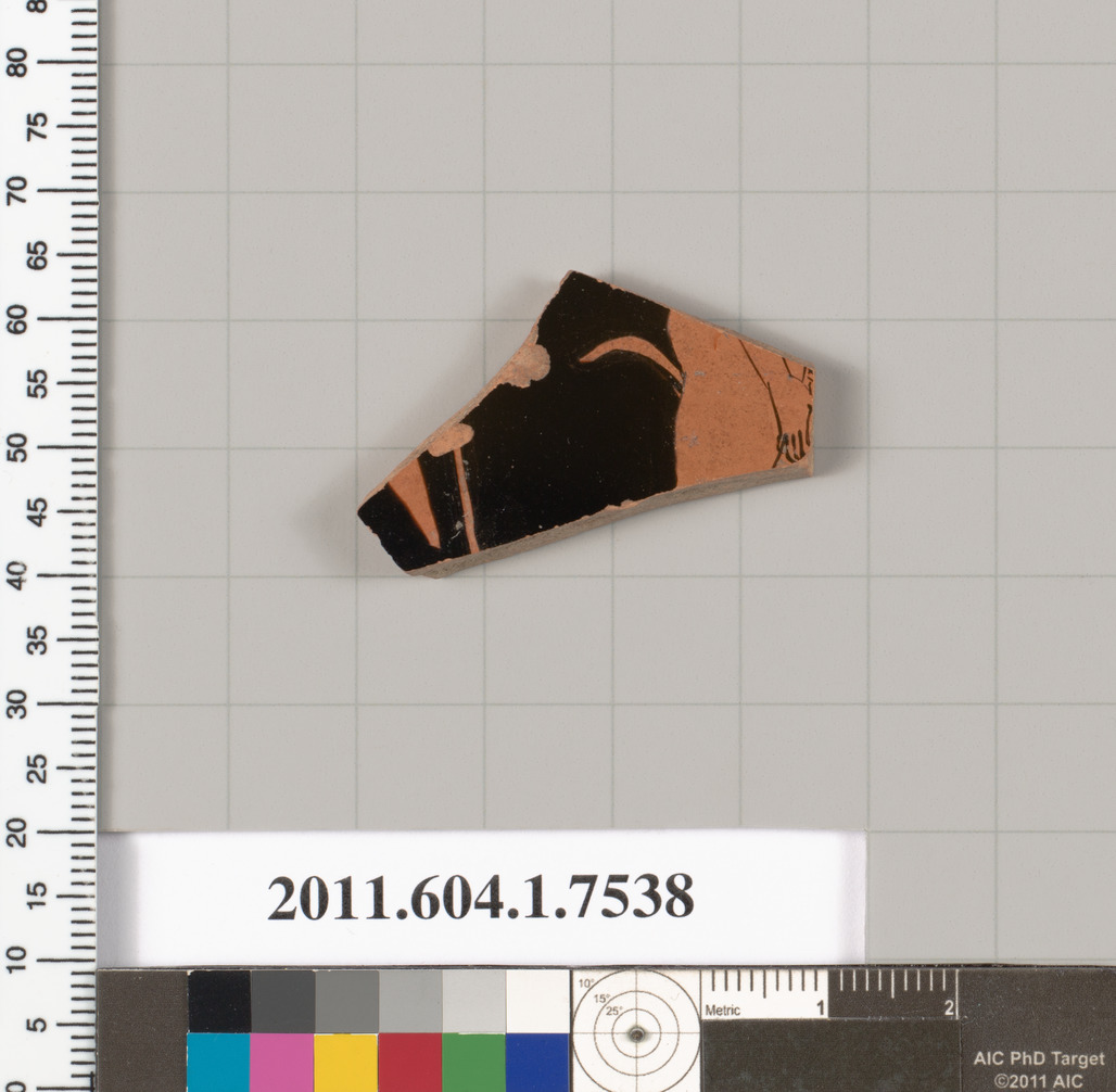 Ancient Pottery Fragment Specimen