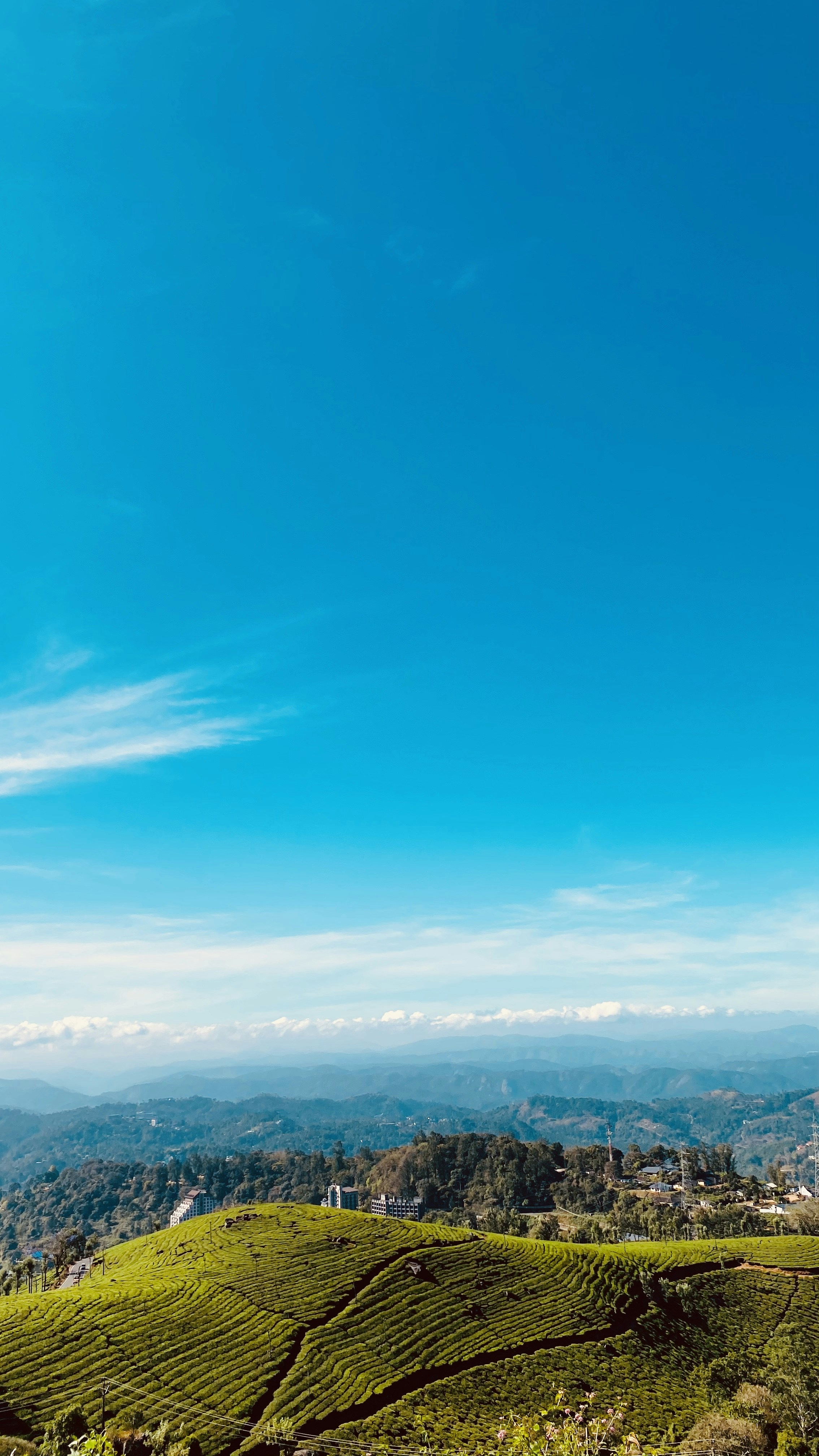 Wallpapers