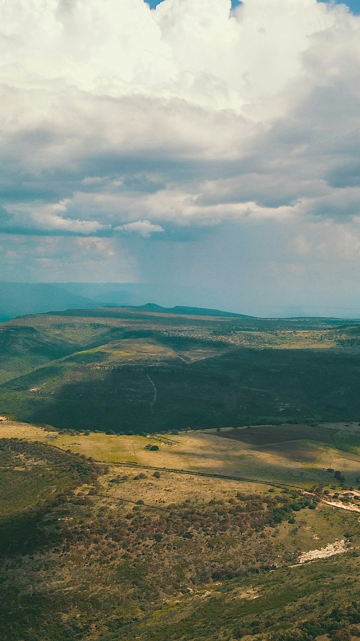 Landscapes