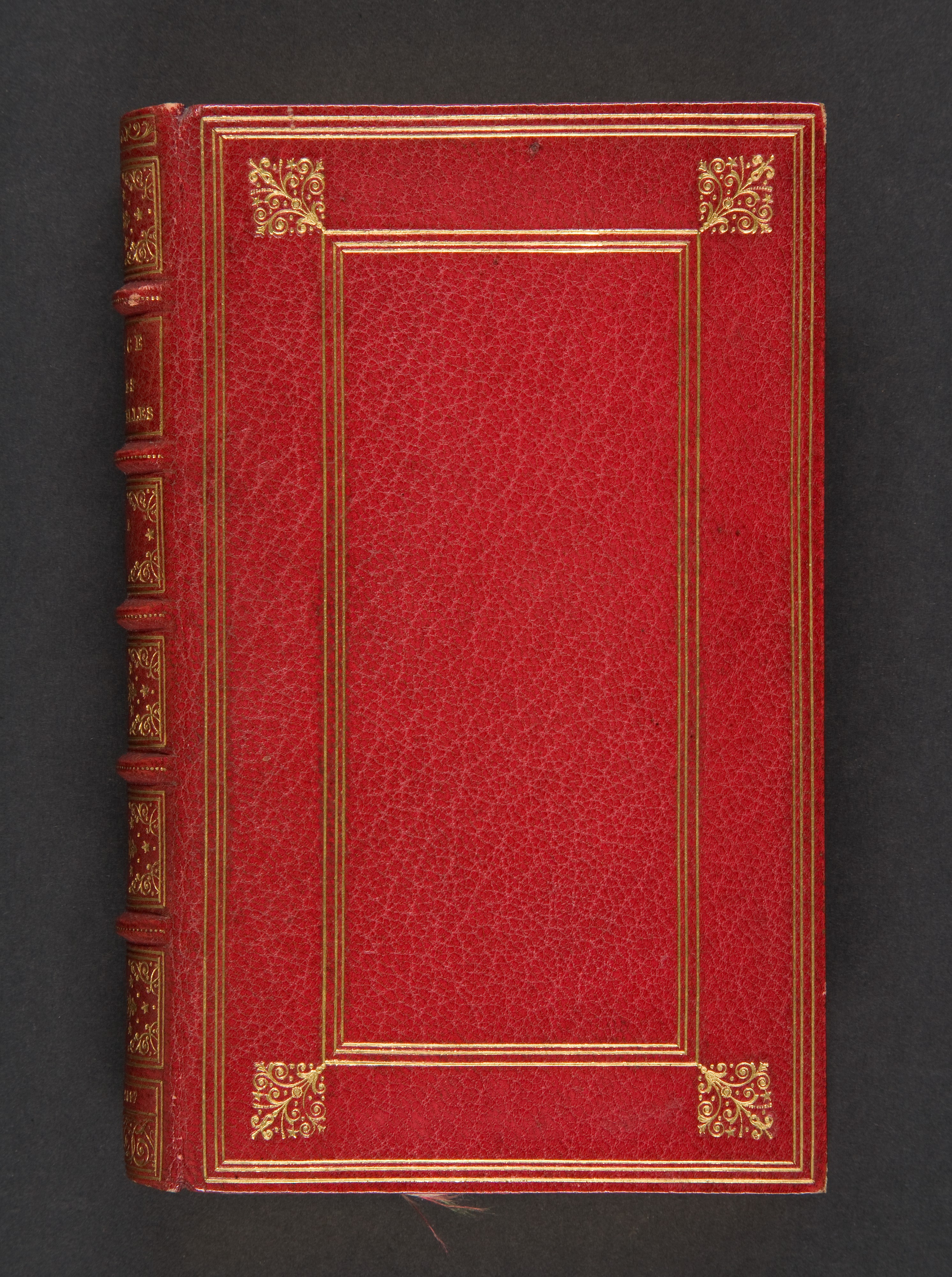 Antique Red Leather Bound Book