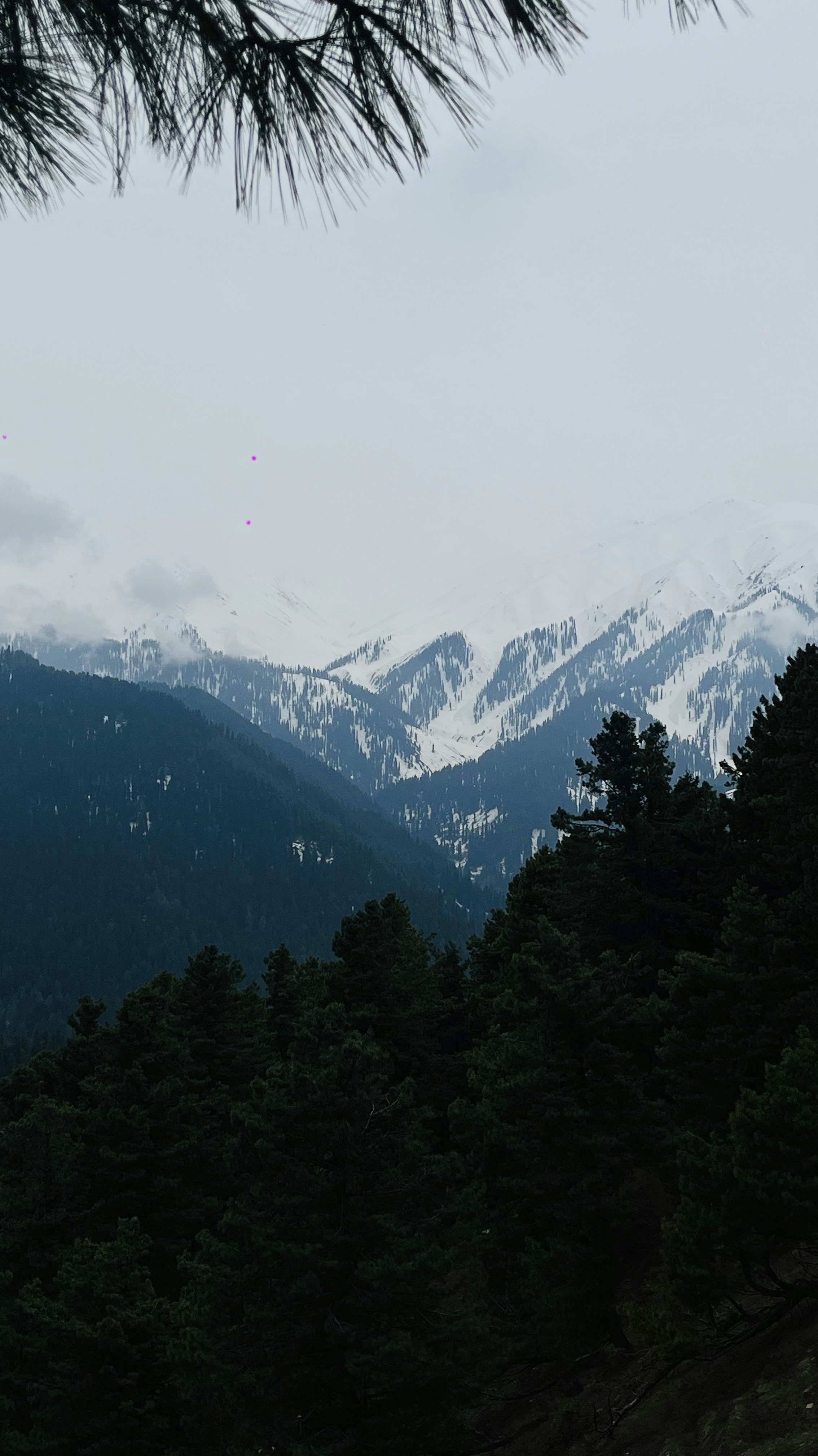 Wallpapers