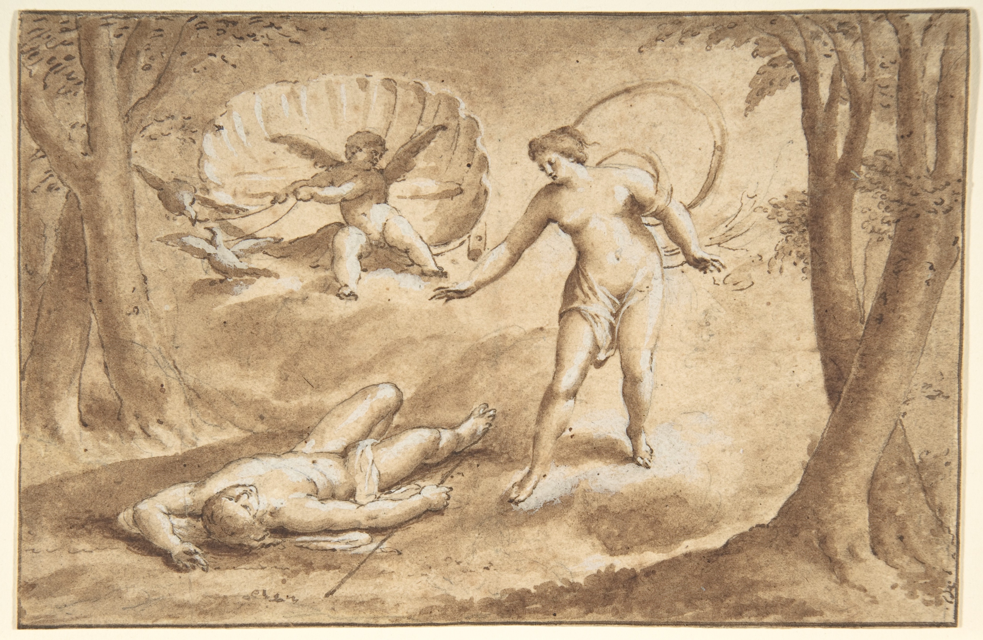 Venus and Dead Adonis Sketch