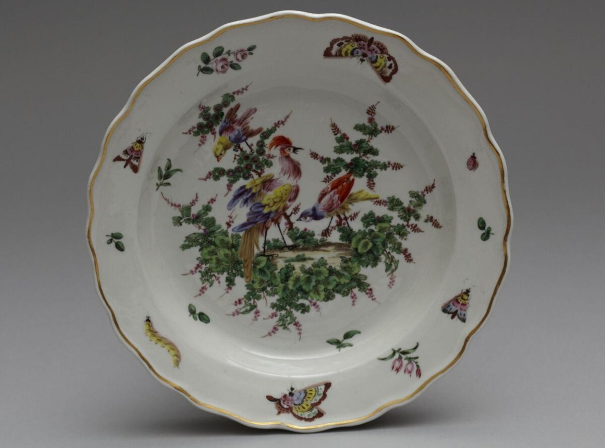 Painted Bird and Insect Porcelain Plate