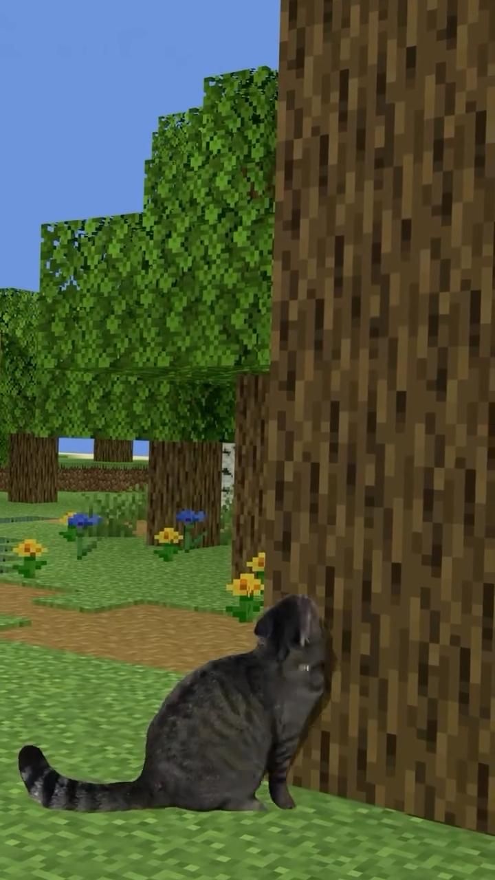 Real Cat Pressed Against Minecraft Tree