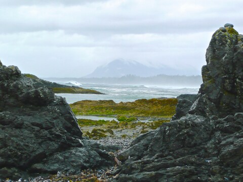 Misty Rocky Coastal Landscape