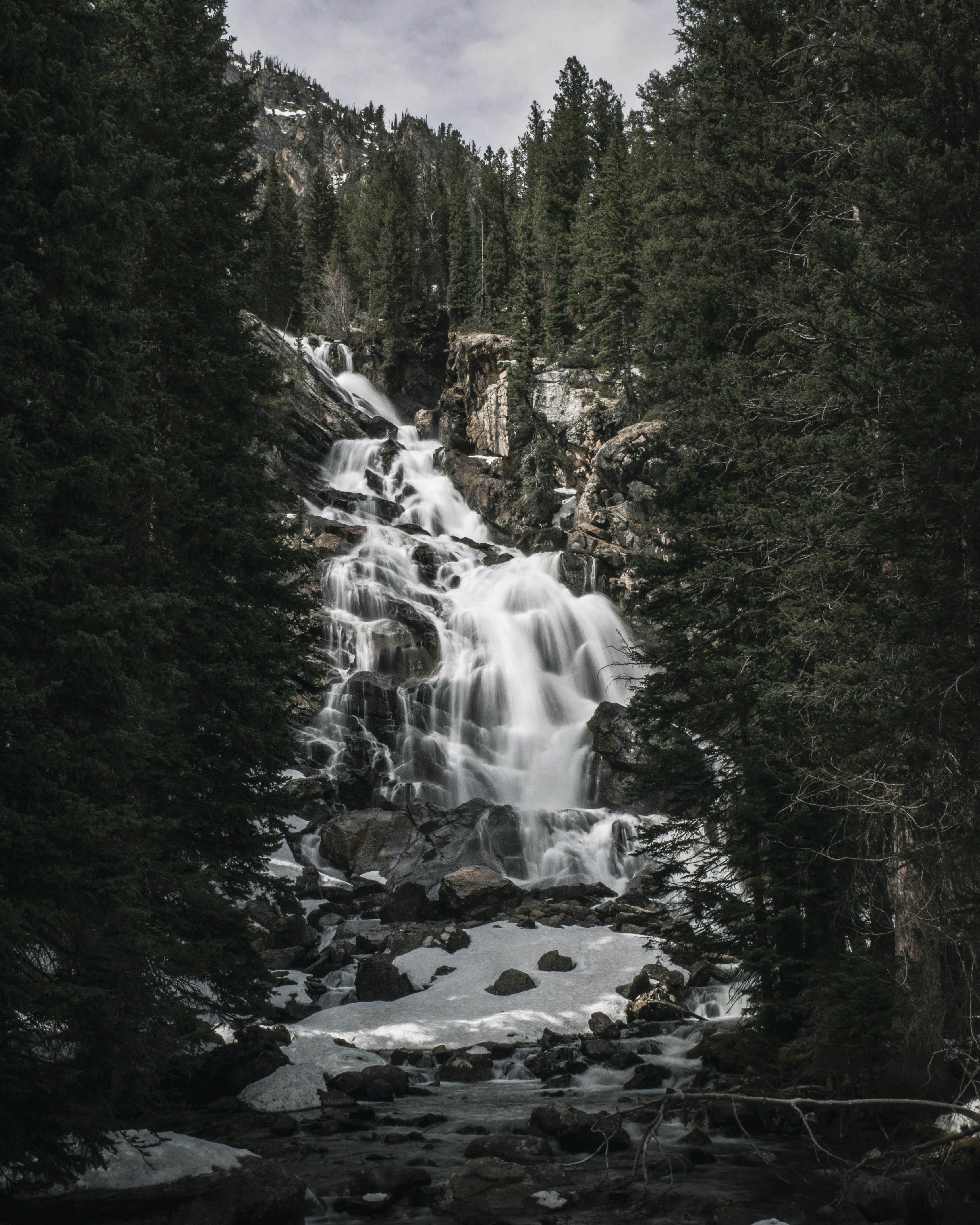 Mountain Waterfall in Dense Forest