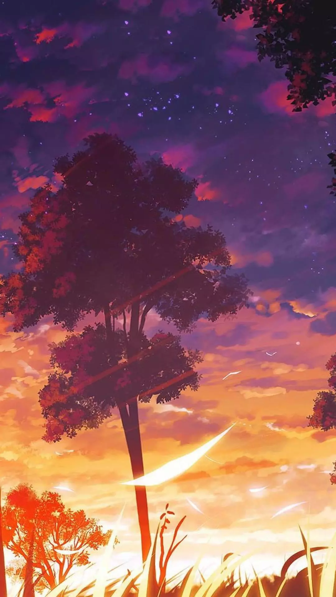 Wallpapers