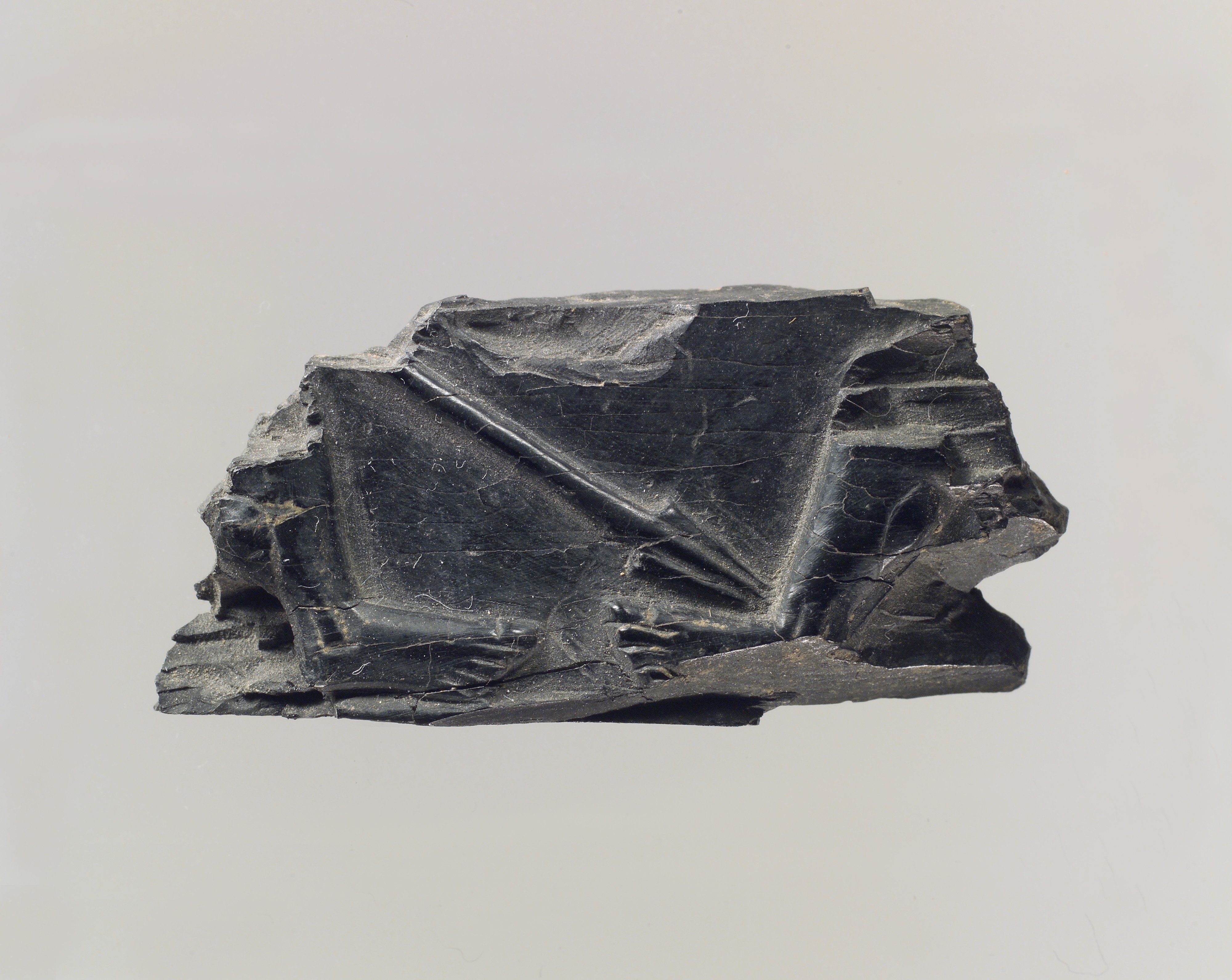 Broken Black Fossil Specimen