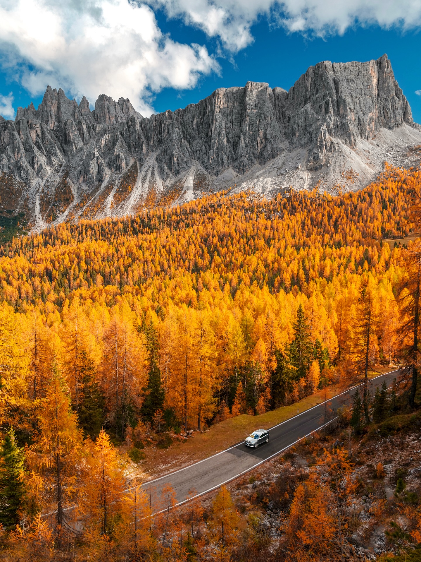 Autumn Mountain Golden Forest Landscape