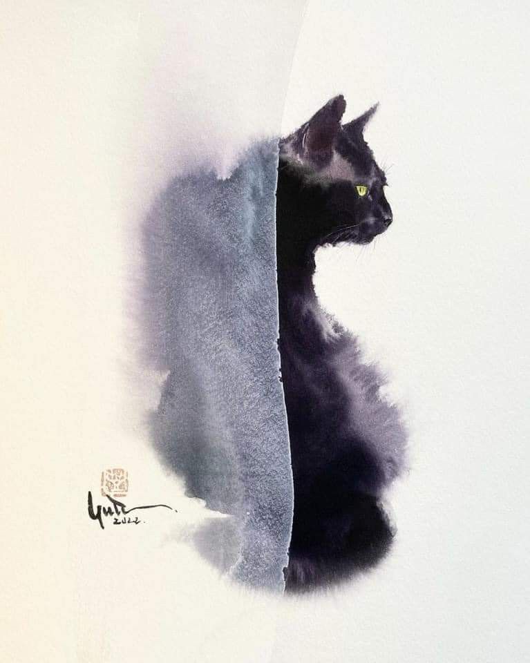 Black Cat Peeking Behind Edge
