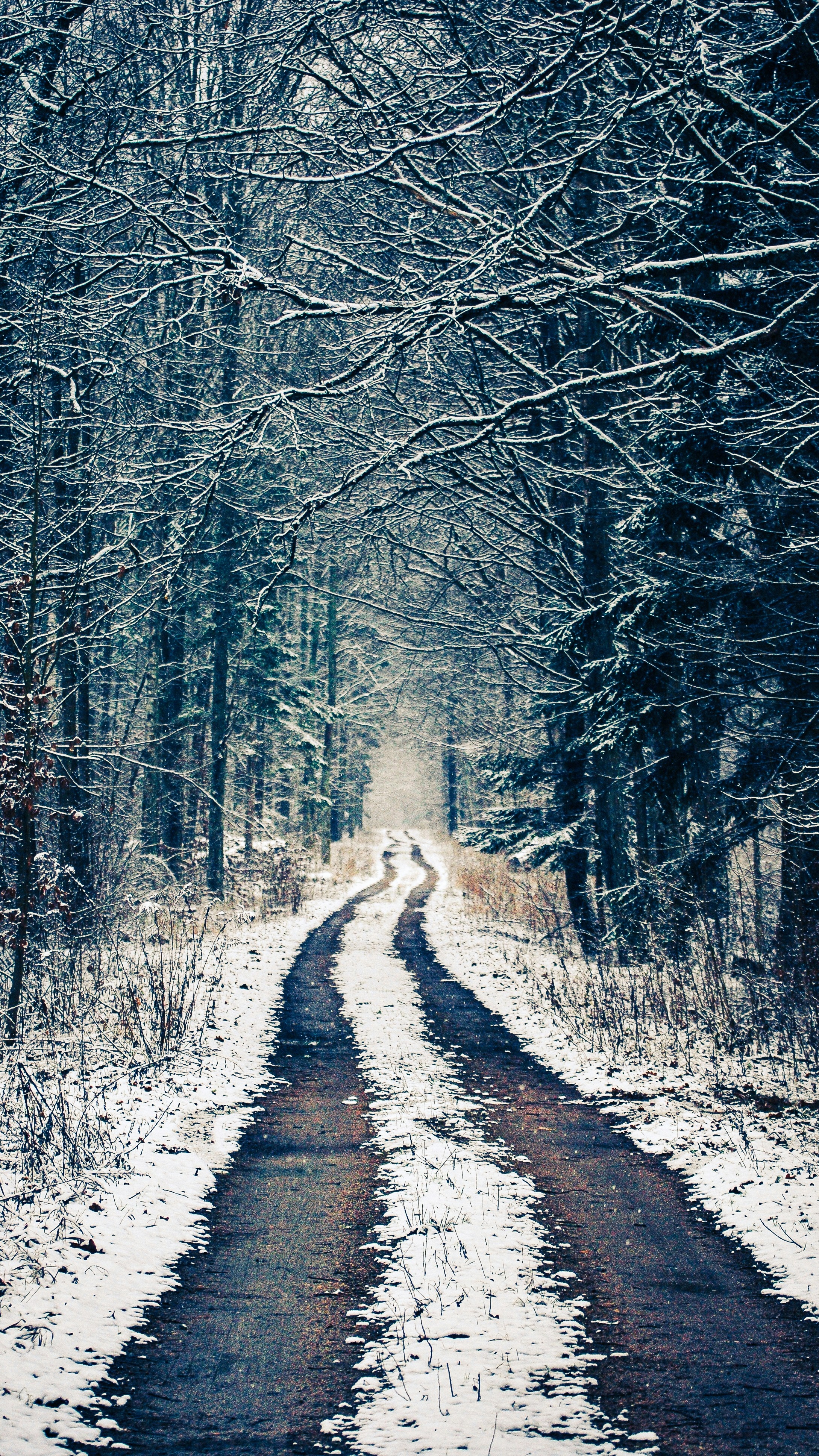 Wallpapers
