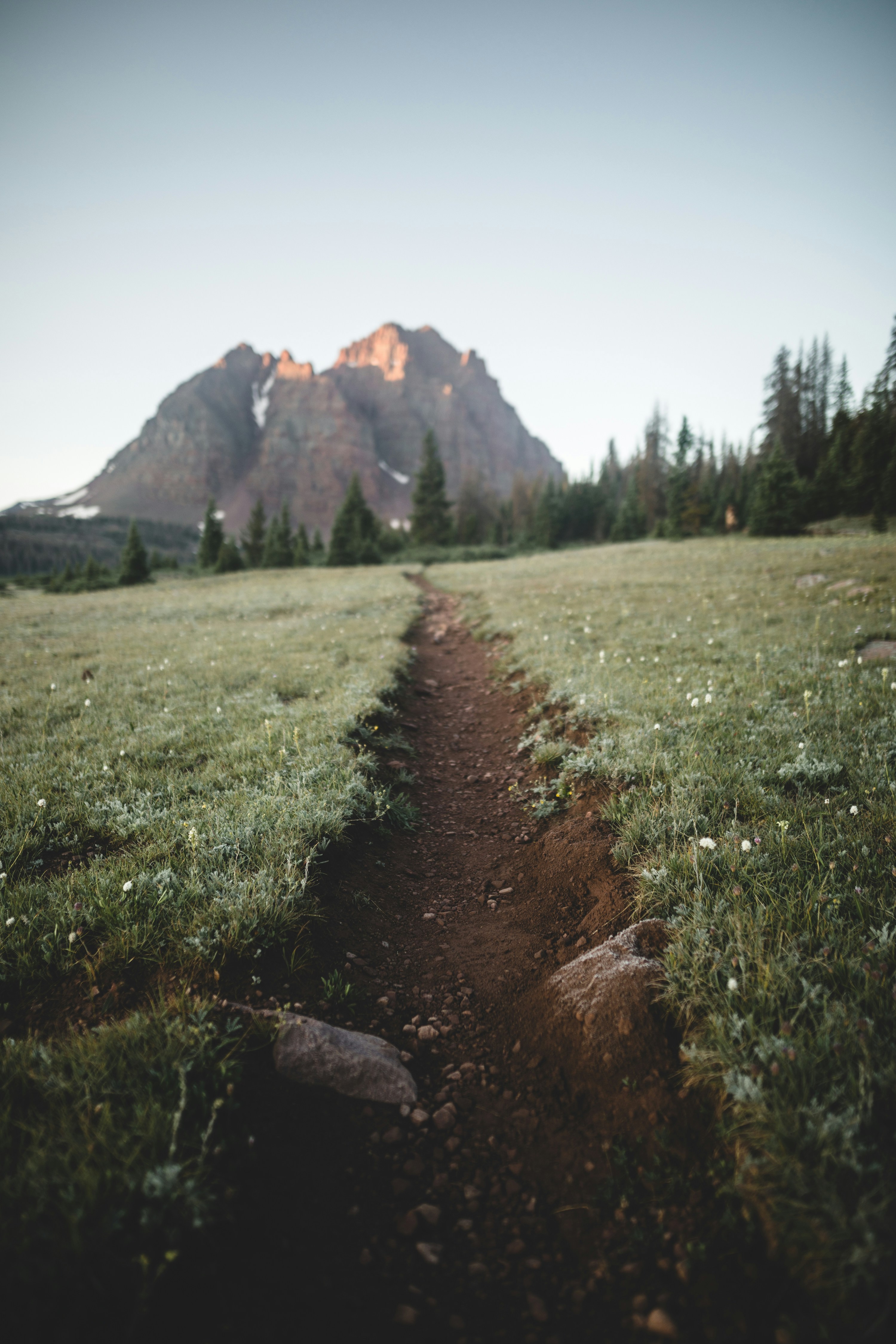 Trail Leading to Rocky Mountain Peak