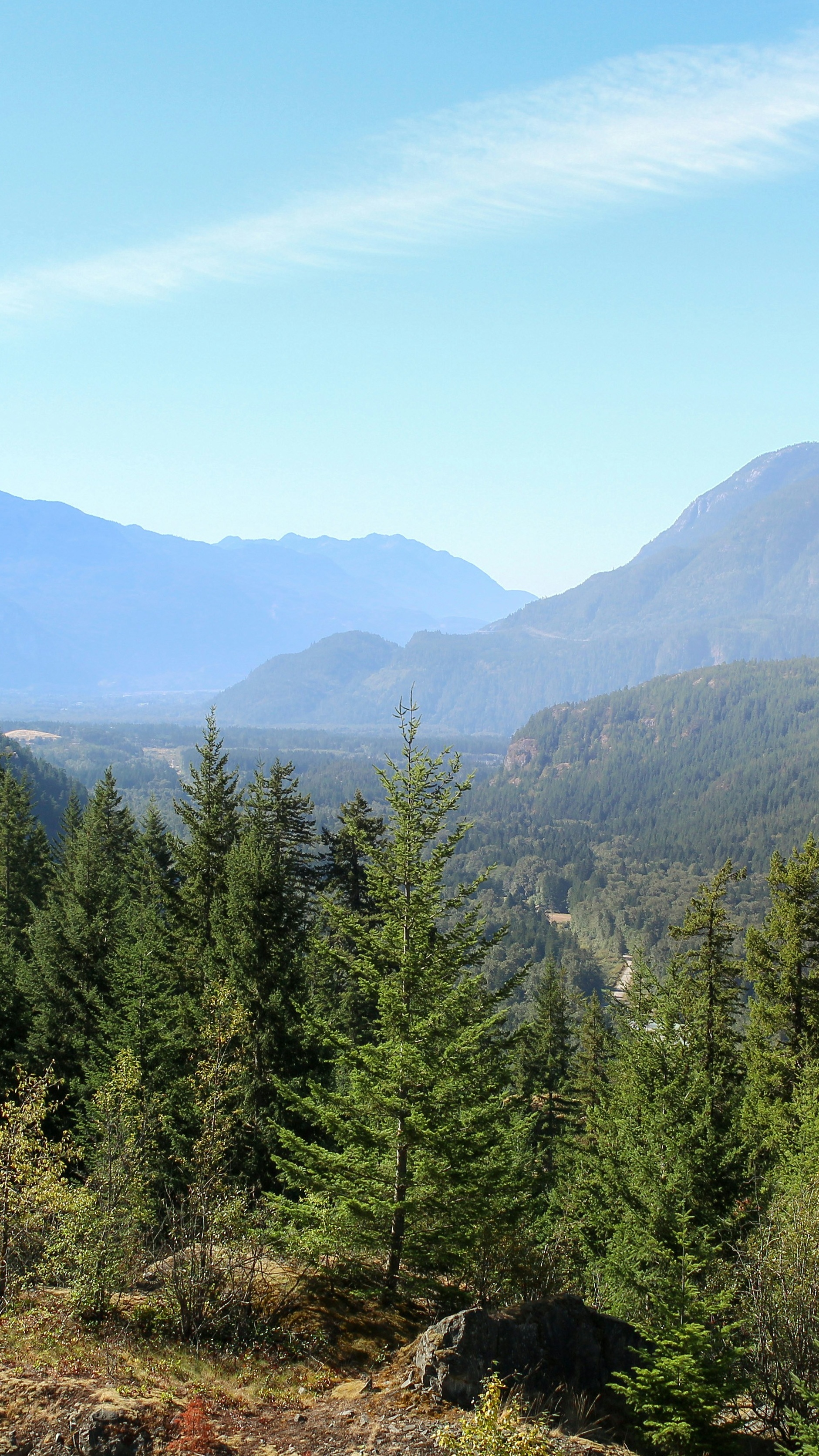 Forested Mountain Valley View