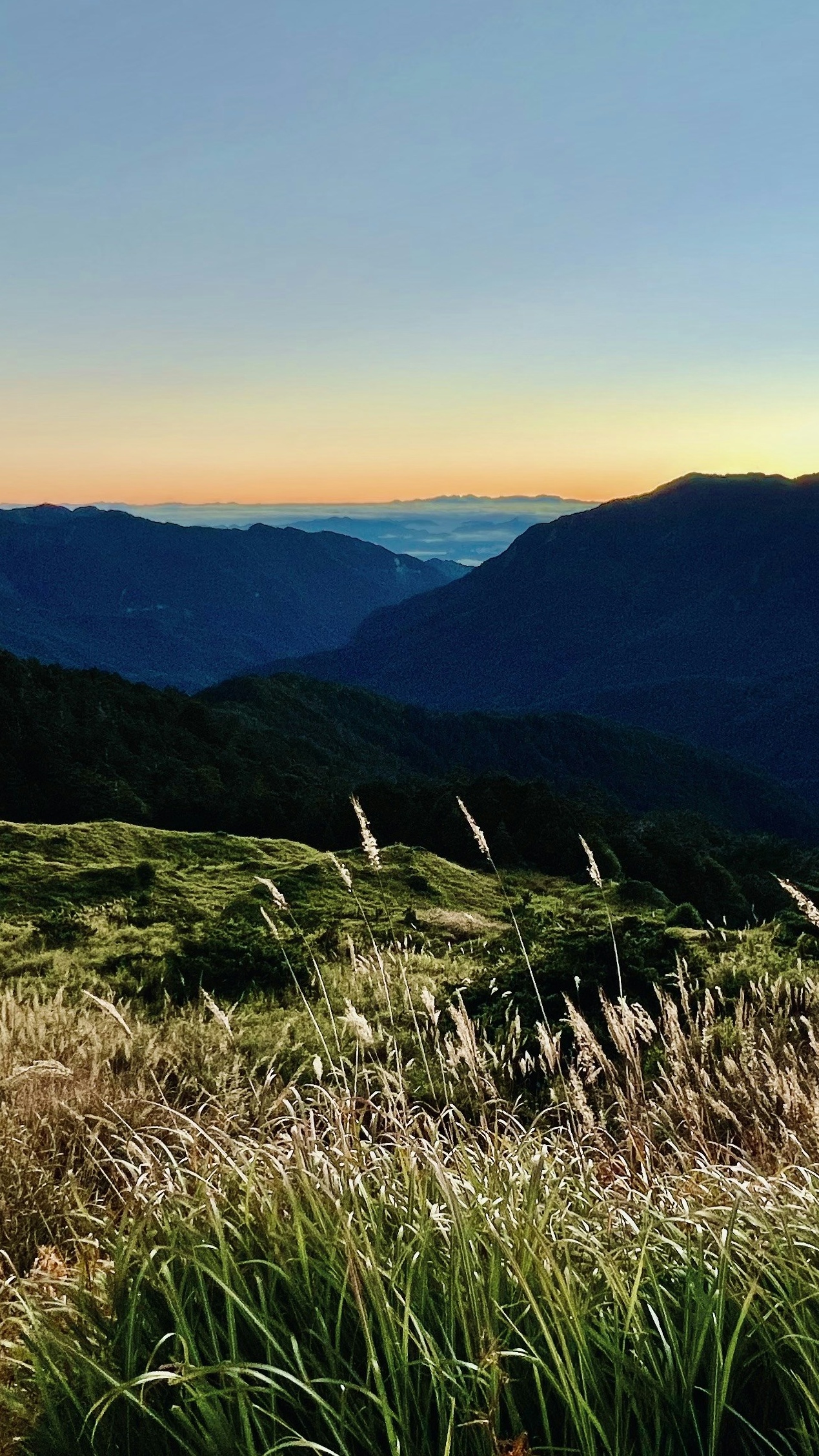 Landscapes