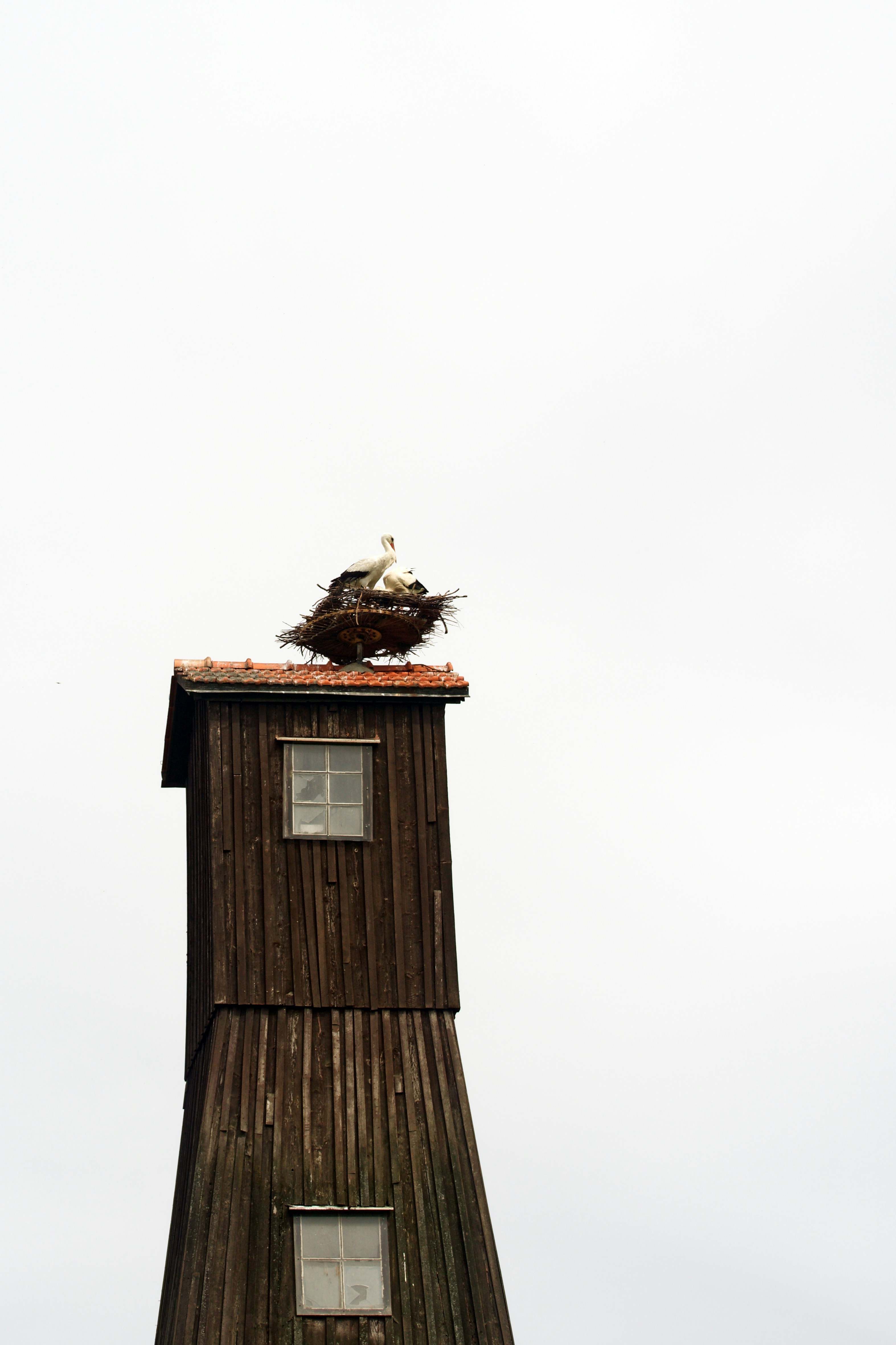 Storks' Nest on Old Wooden Tower