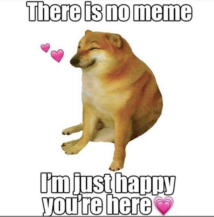 Wholesome Happy Cheems Meme