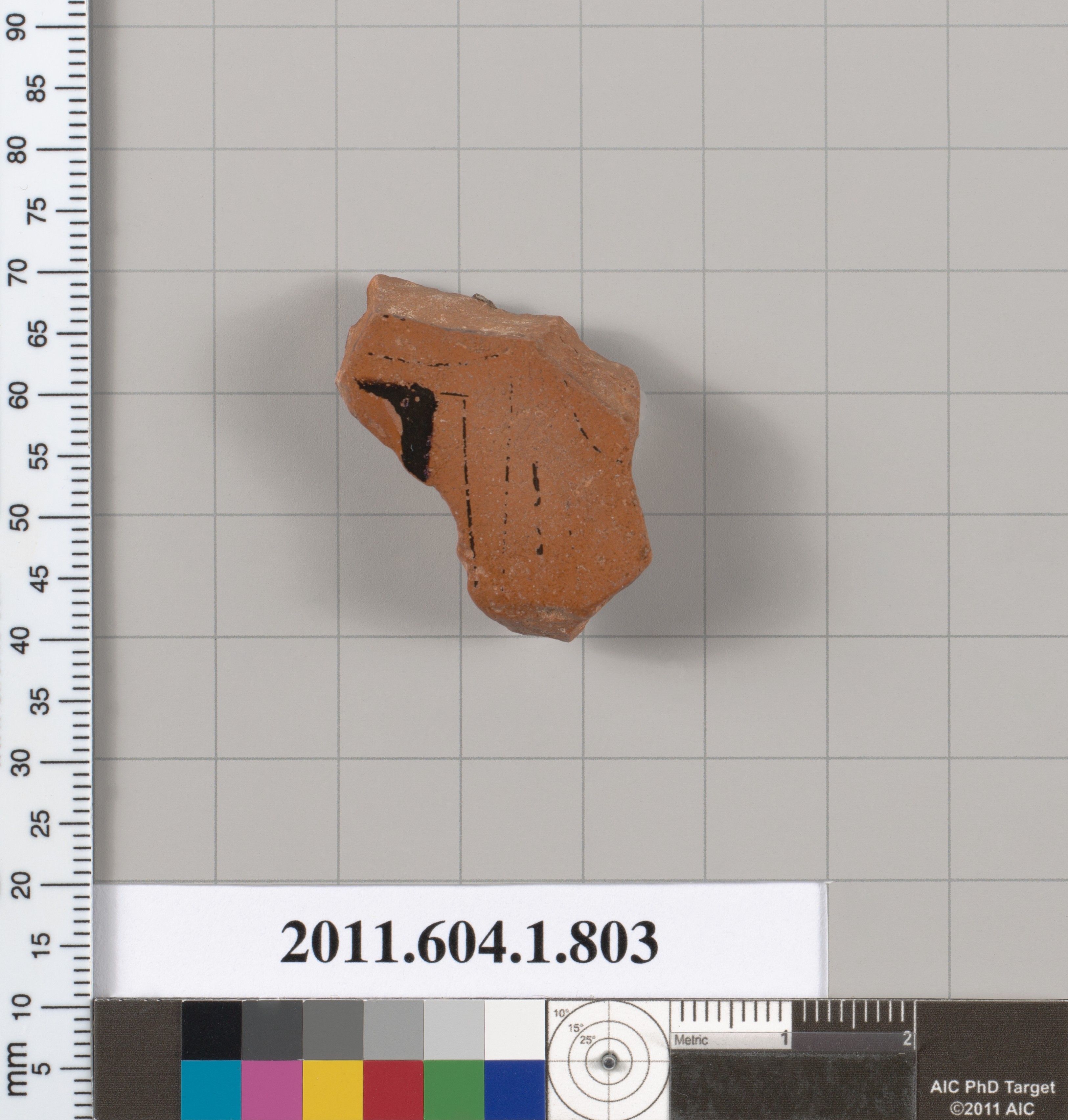 Terracotta Pottery Fragment Specimen