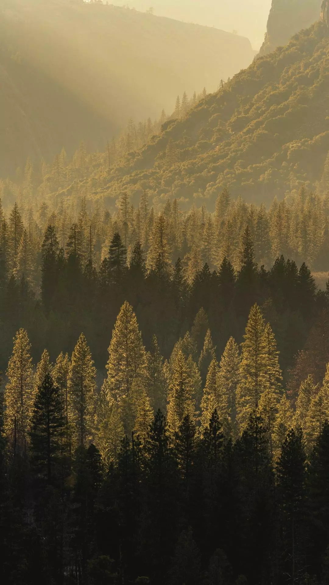 Landscapes