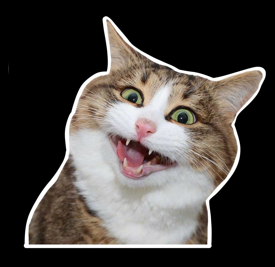 Surprised Open-Mouthed Cat