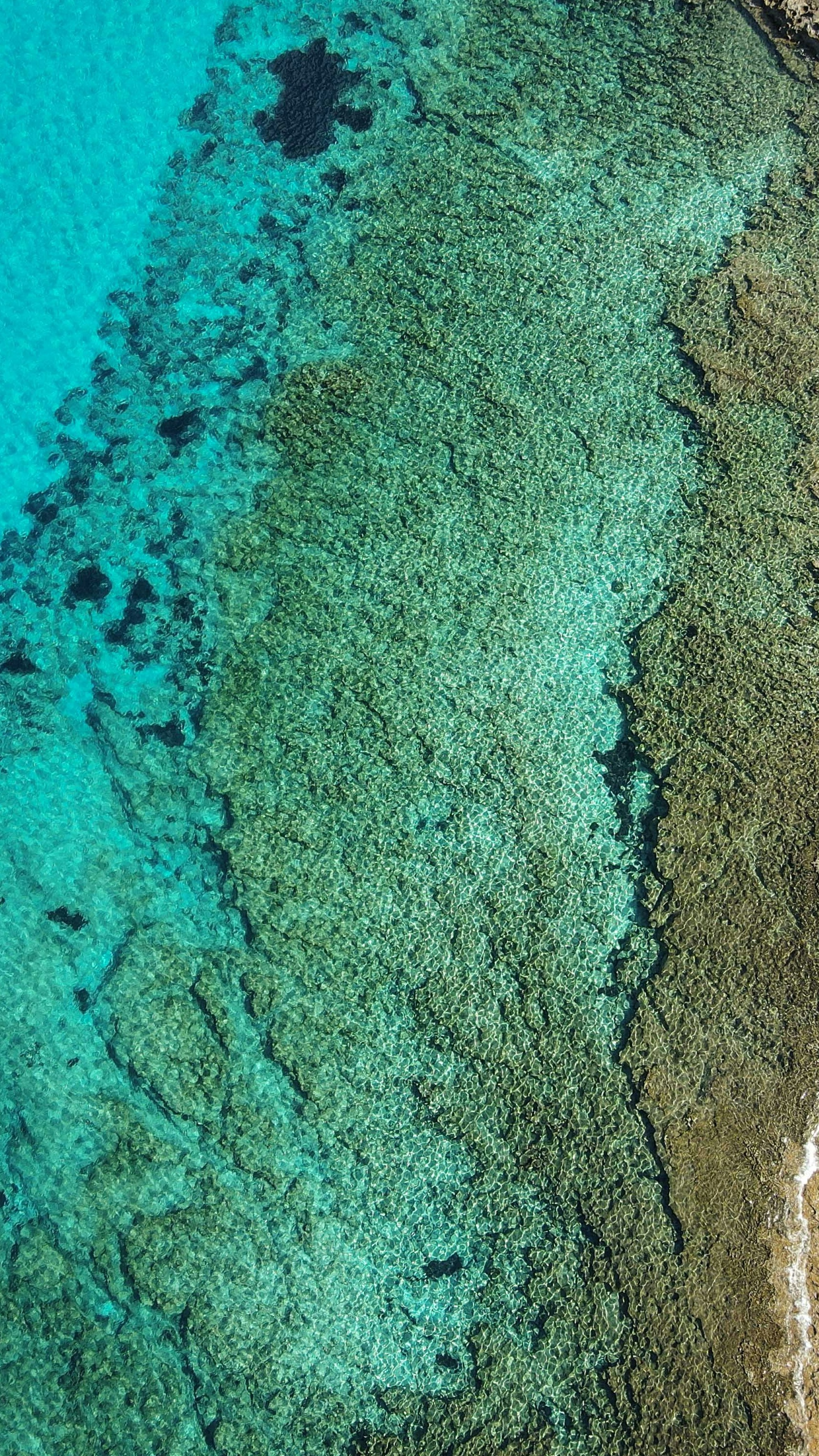 Wallpapers