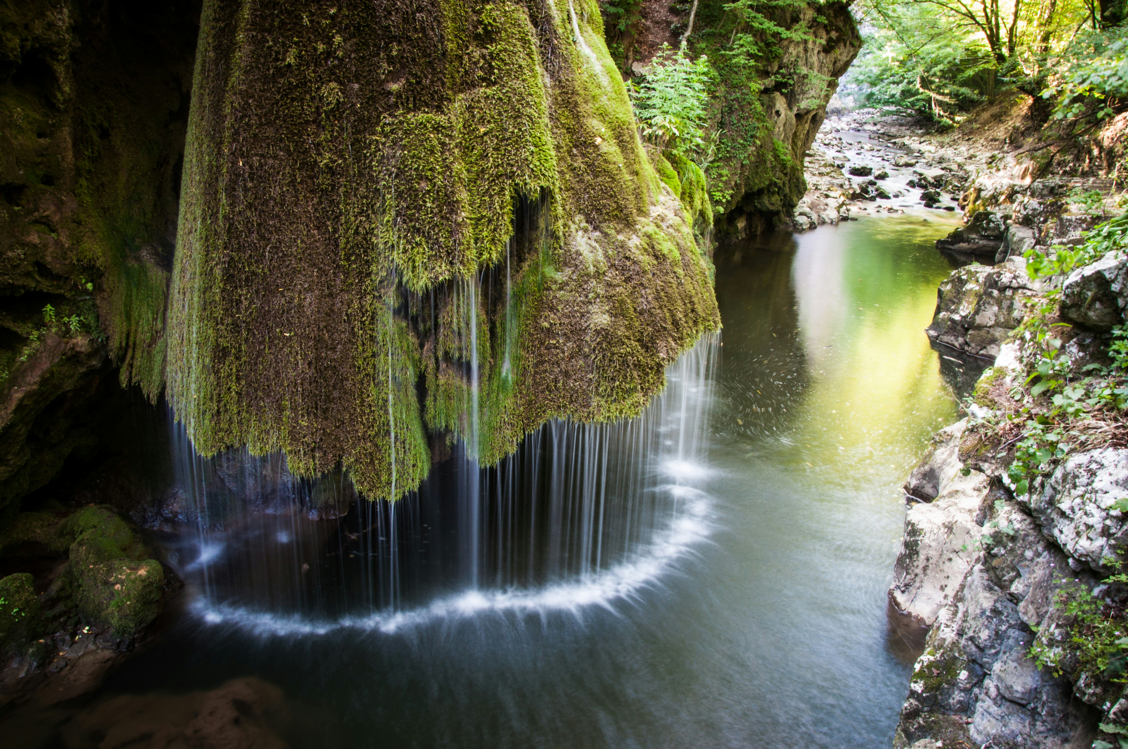 Mossy Forest Waterfall