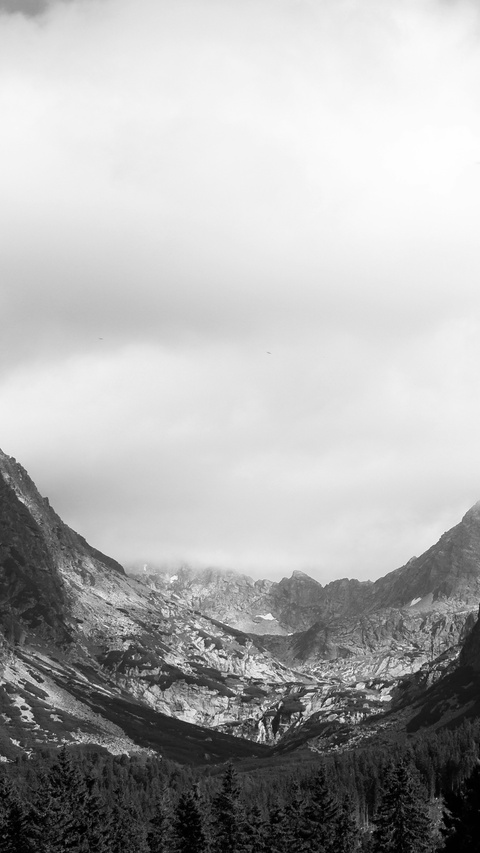 Foggy Mountain Valley Landscape