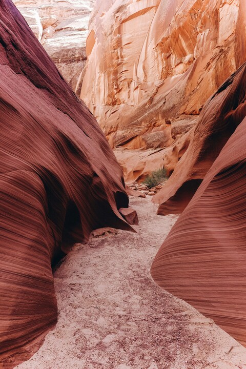 Narrow Desert Slot Canyon Path