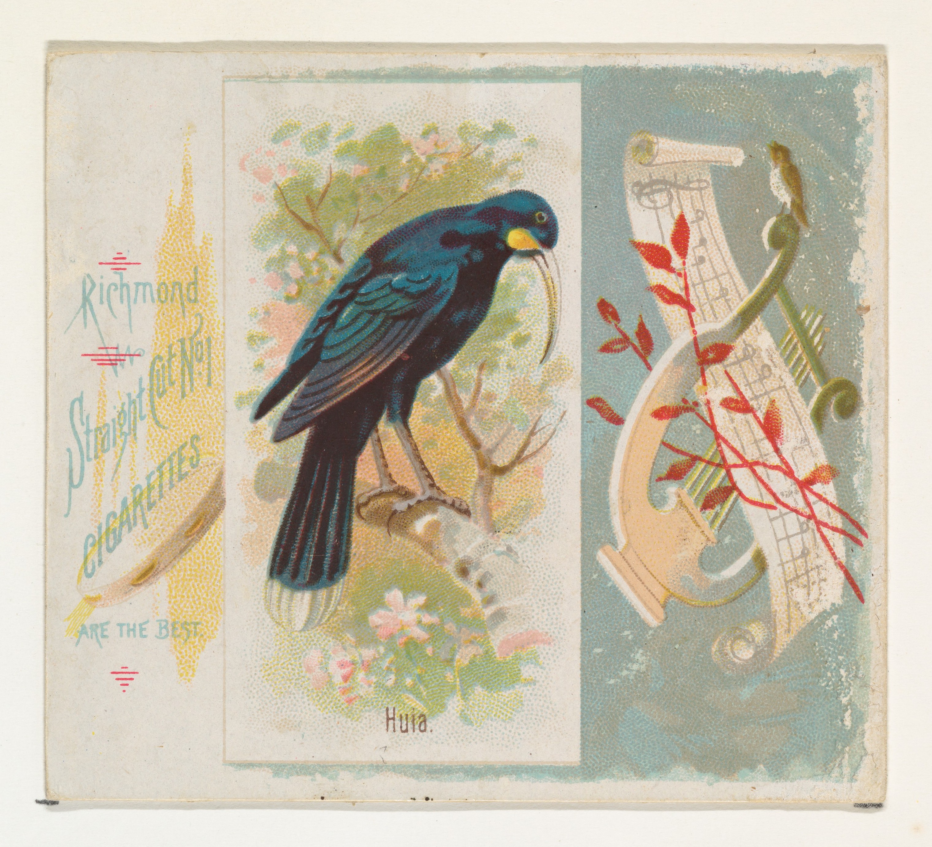 Huia Bird Cigarette Trade Card