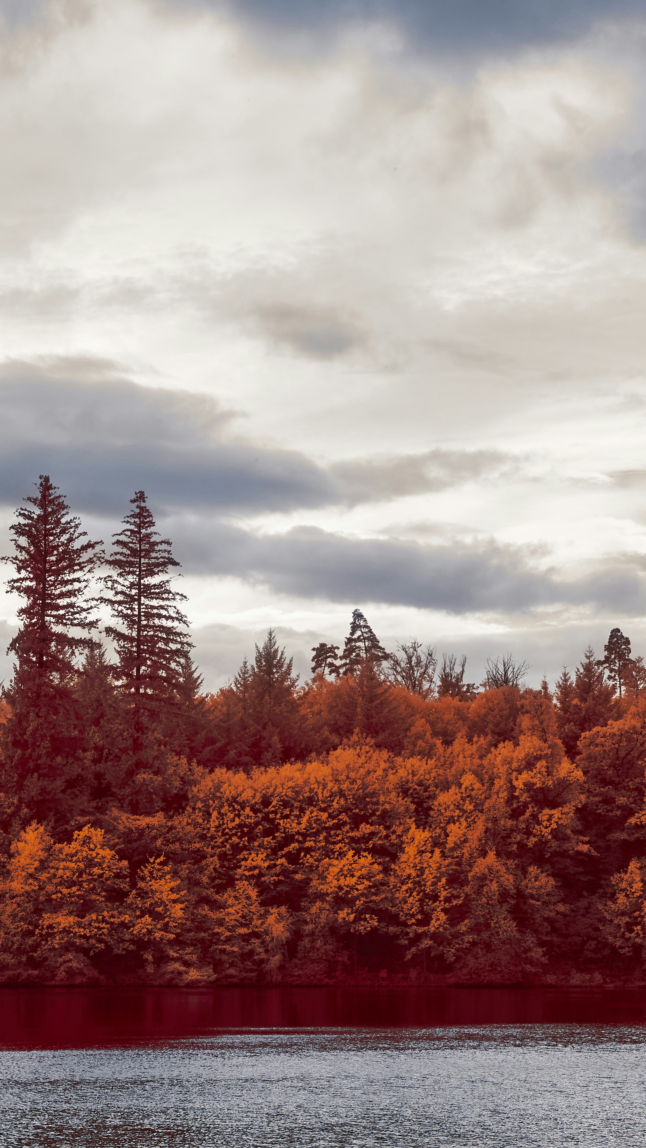 Autumn Forest by Calm Lake